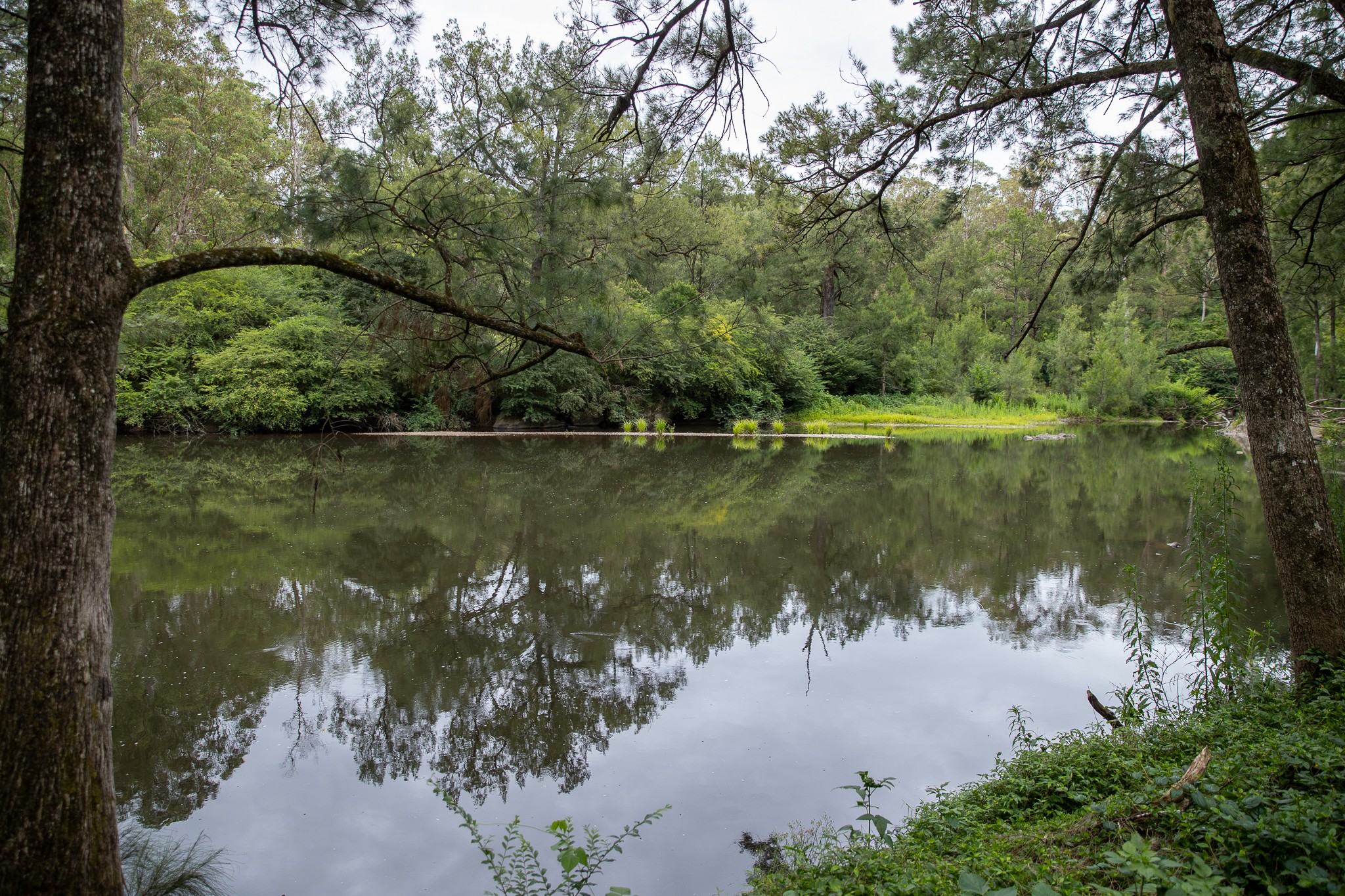 145 Moonpar Road, Bostobrick, NSW 2453