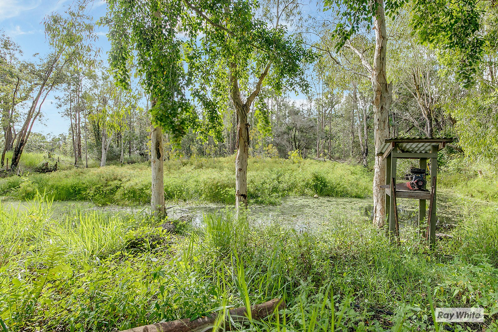2550 Byfield Road, Byfield, QLD 4703