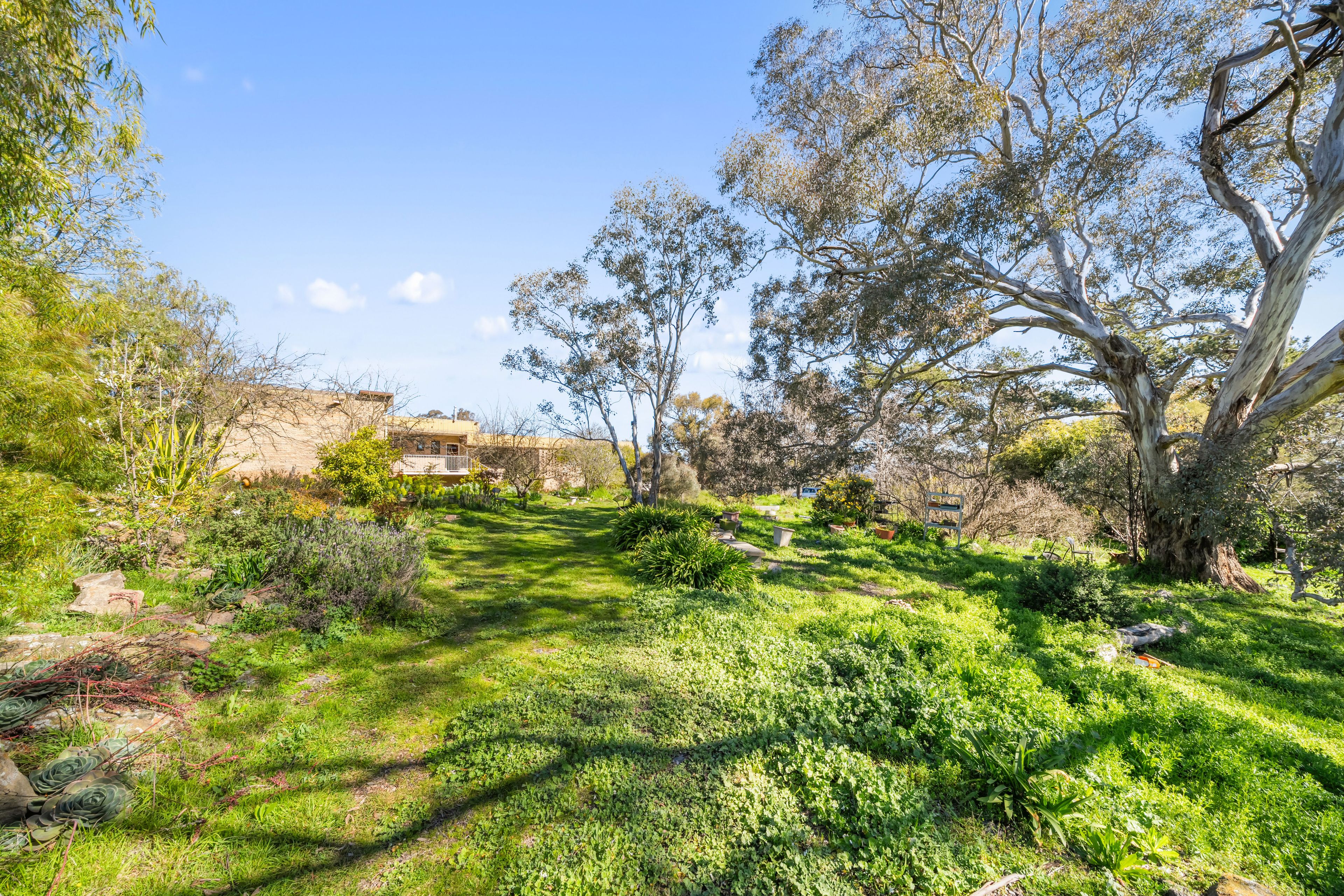 103 Captains Hill Road — photo 9 of 30