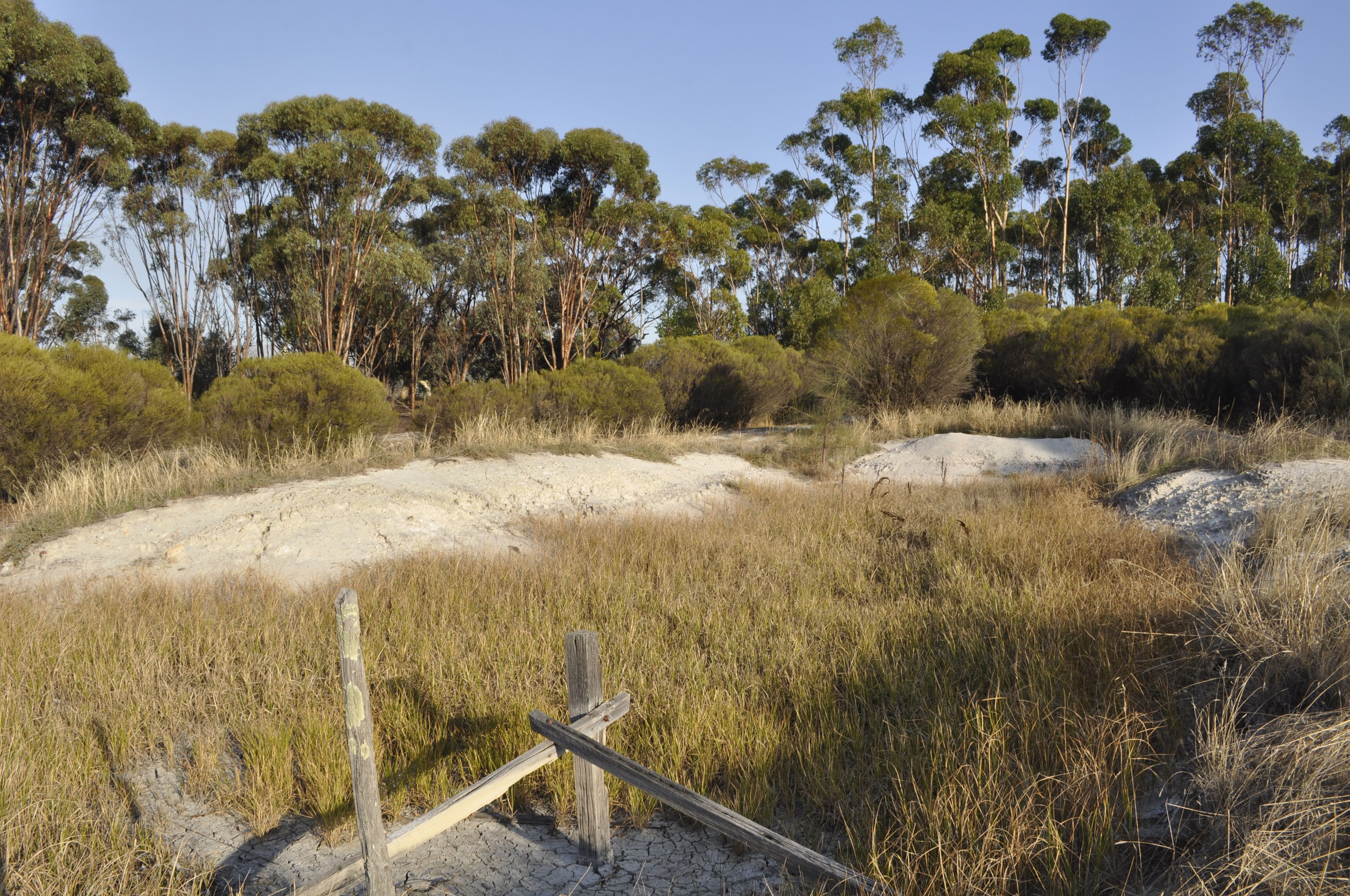 Lot 633 Mills Street, Katanning, WA 6317 Land for Sale Ray White