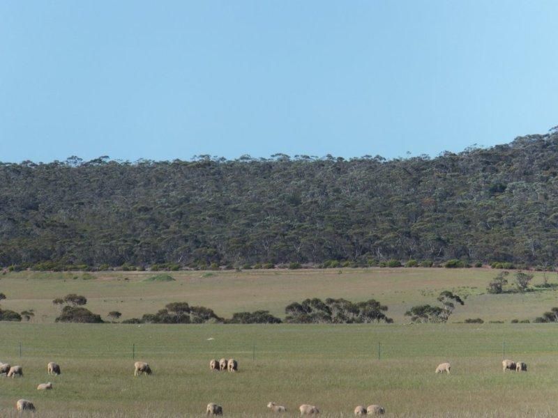 Lot 2 South Coast Highway, Ravensthorpe WA 6346