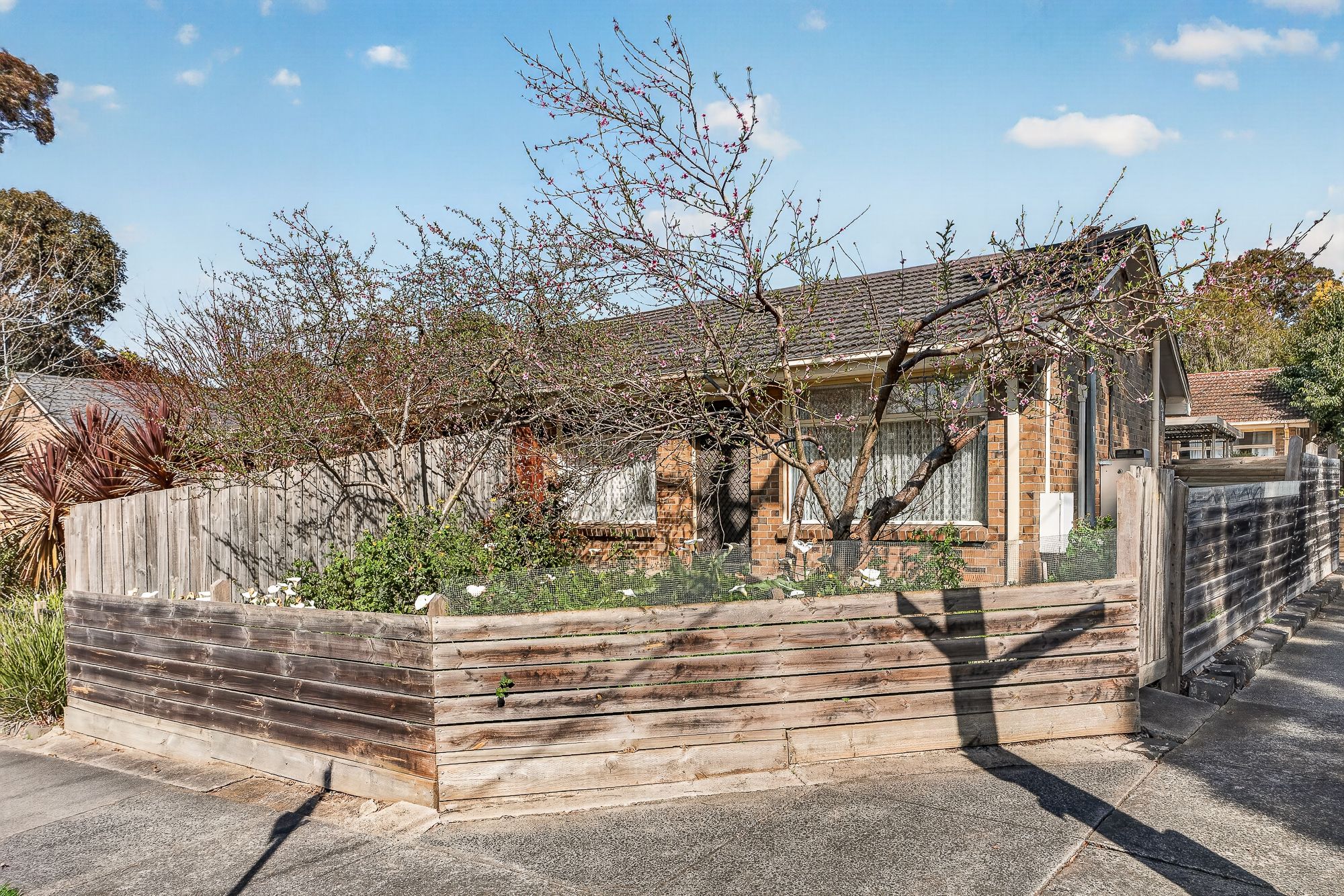 1/2-4 Creek Road — photo from Ray White Box Hill