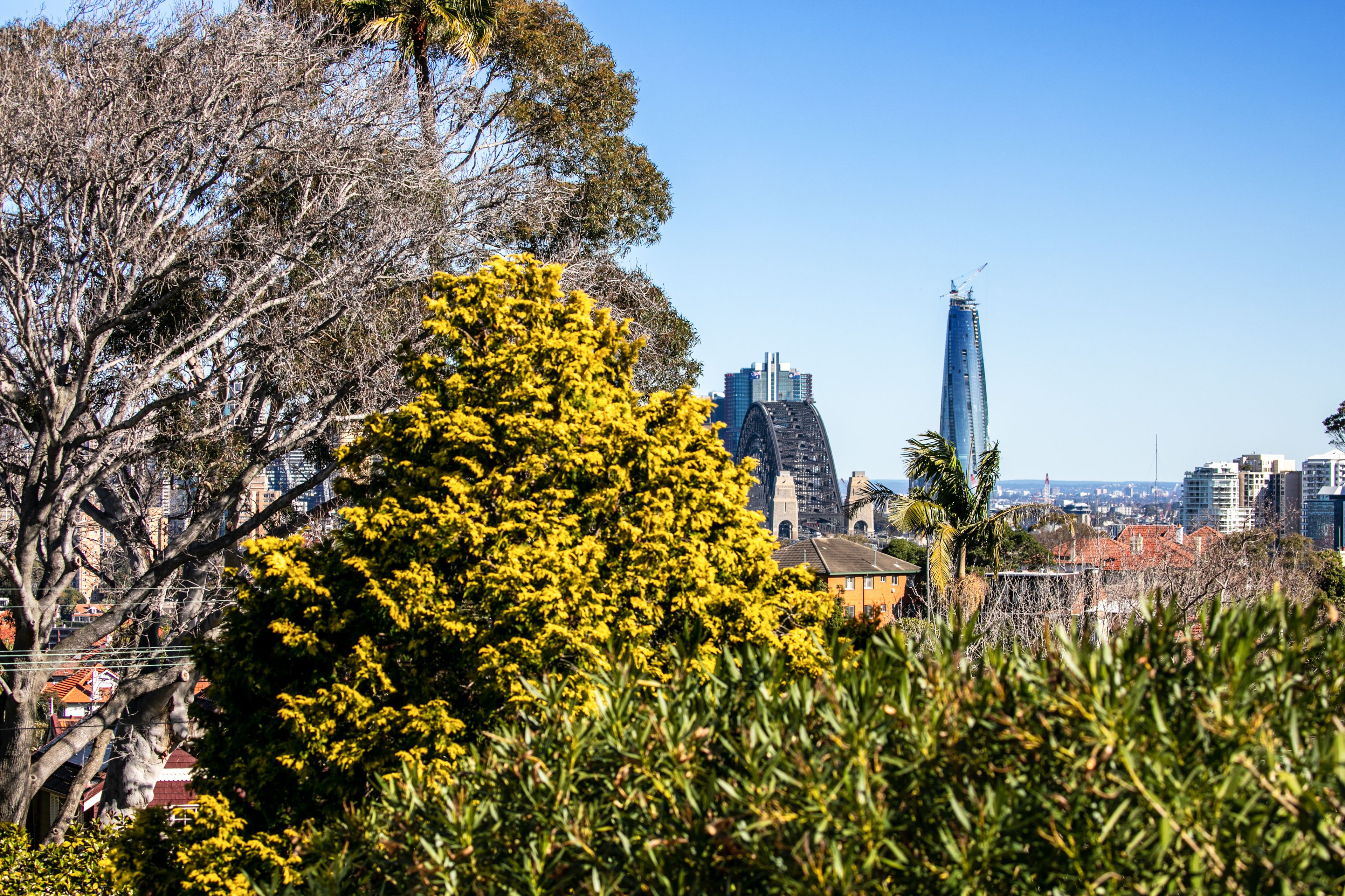26 Bennett Street, Cremorne NSW 2090