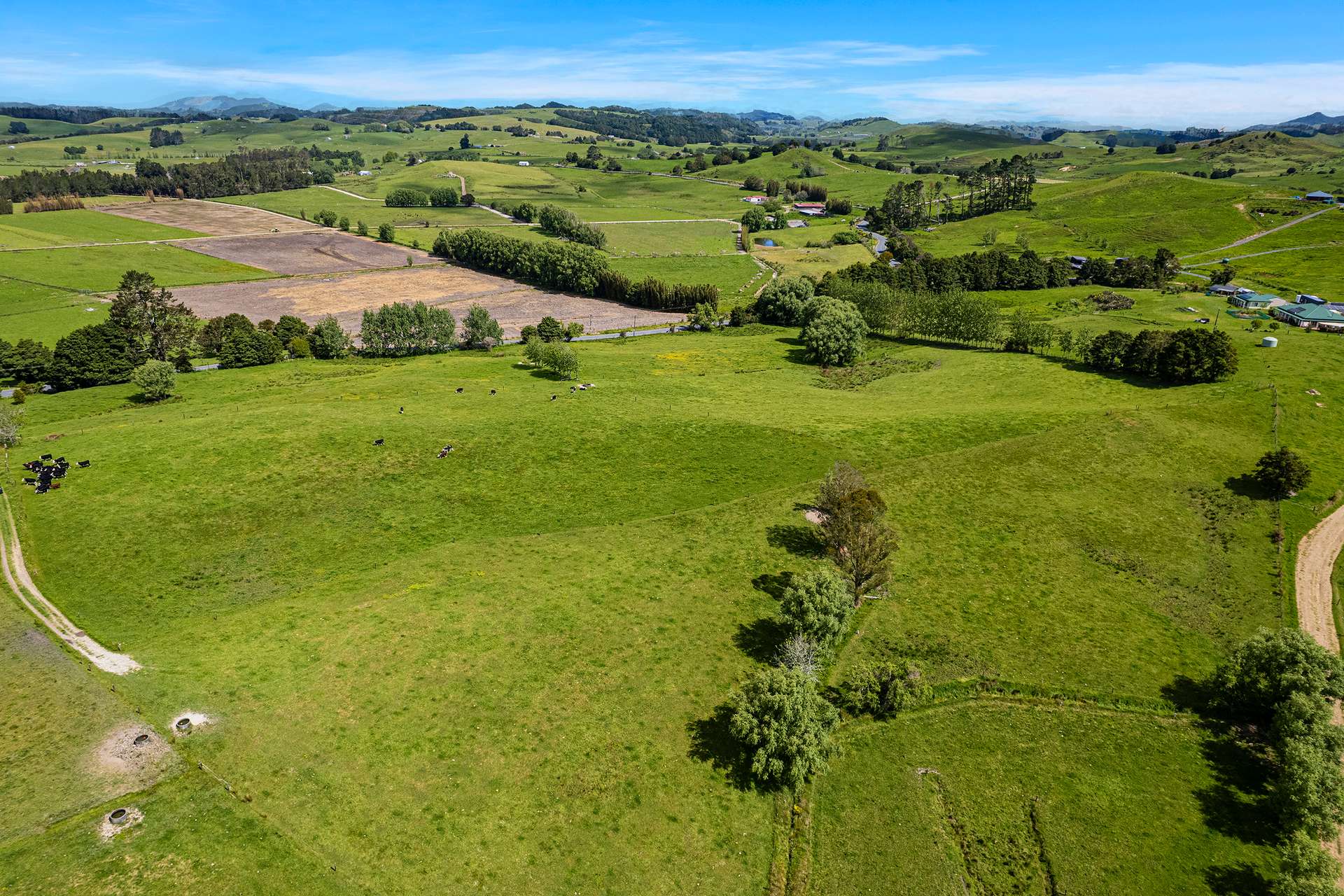 Lot 3 Hukerenui Road photo 9