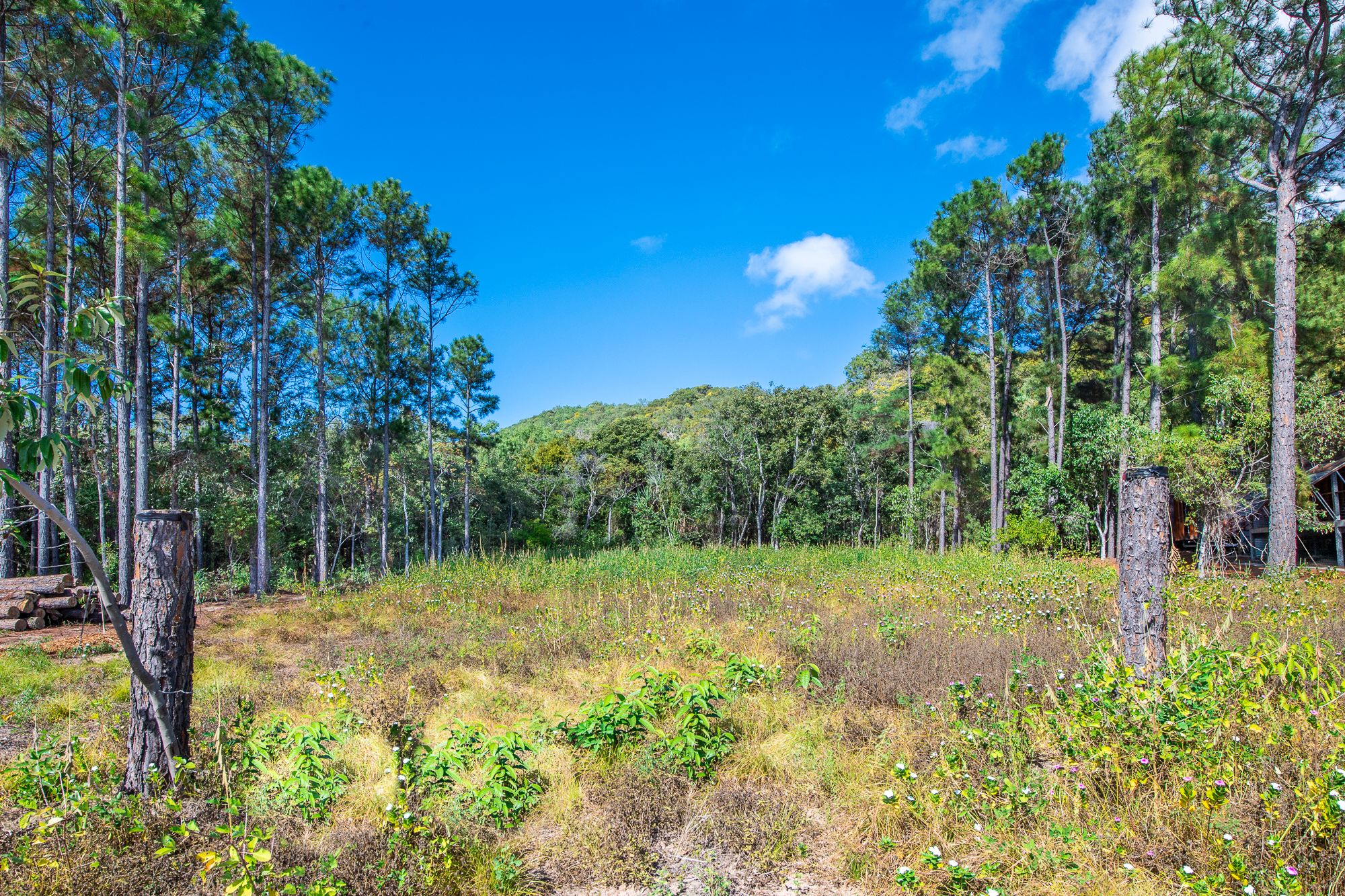18 Wallaby Way, Horseshoe Bay, QLD 4819