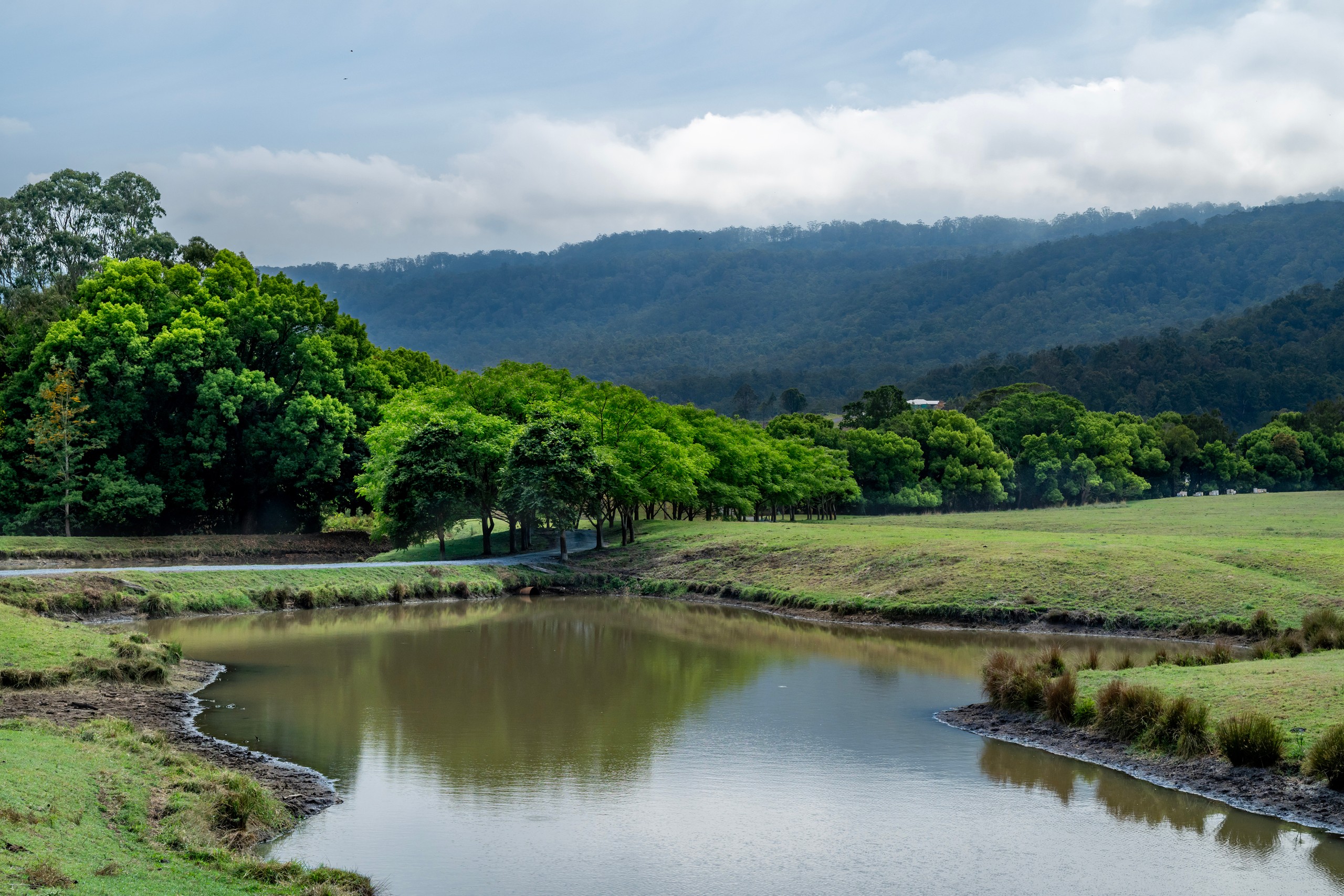 2567 Beaudesert Nerang Road, Benobble, QLD 4275