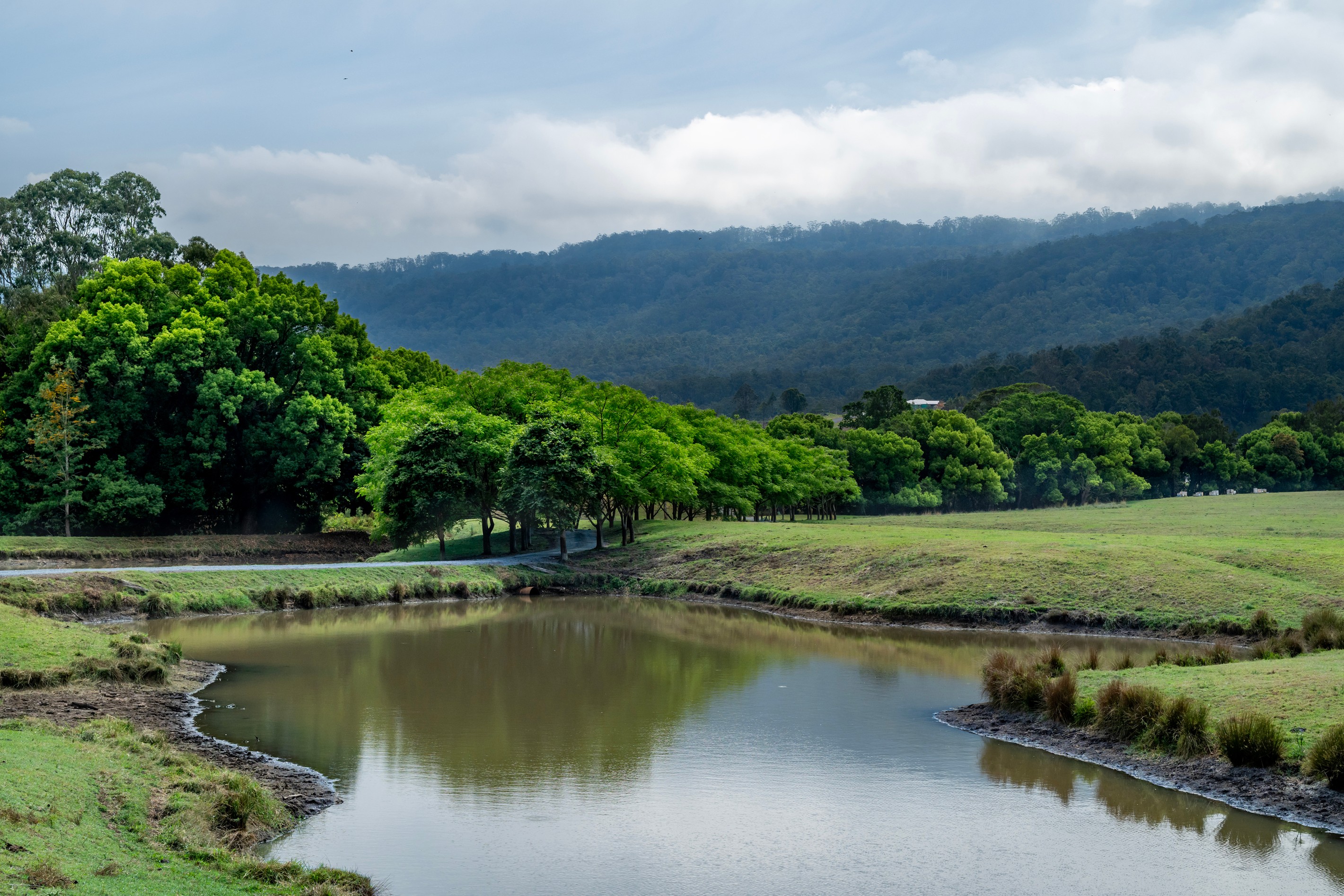 2567 Beaudesert Nerang Road, Benobble, QLD 4275