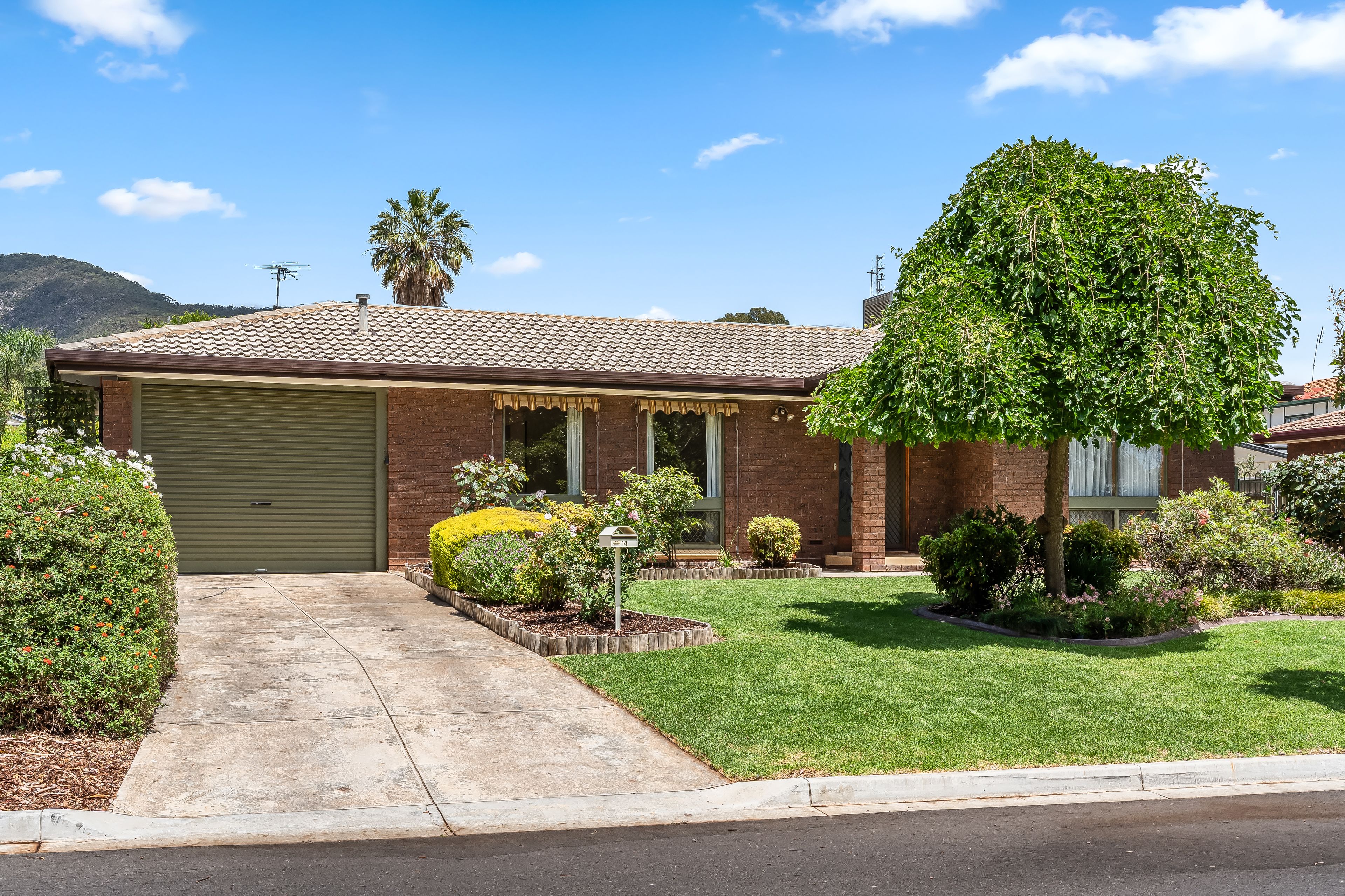 14 Meath Avenue, Athelstone, SA 5076