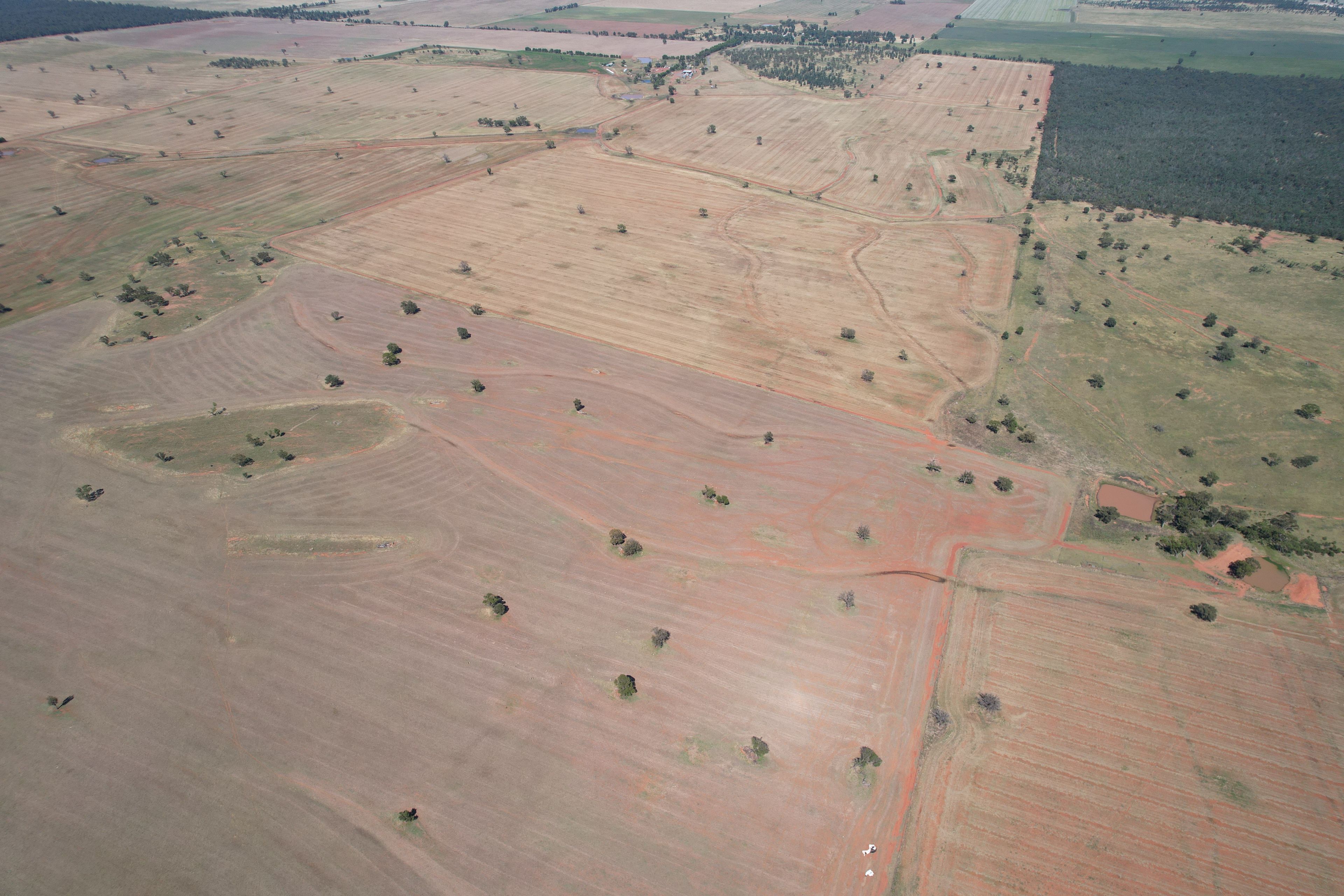 2840 Wamboyne Road, West Wyalong, NSW 2671