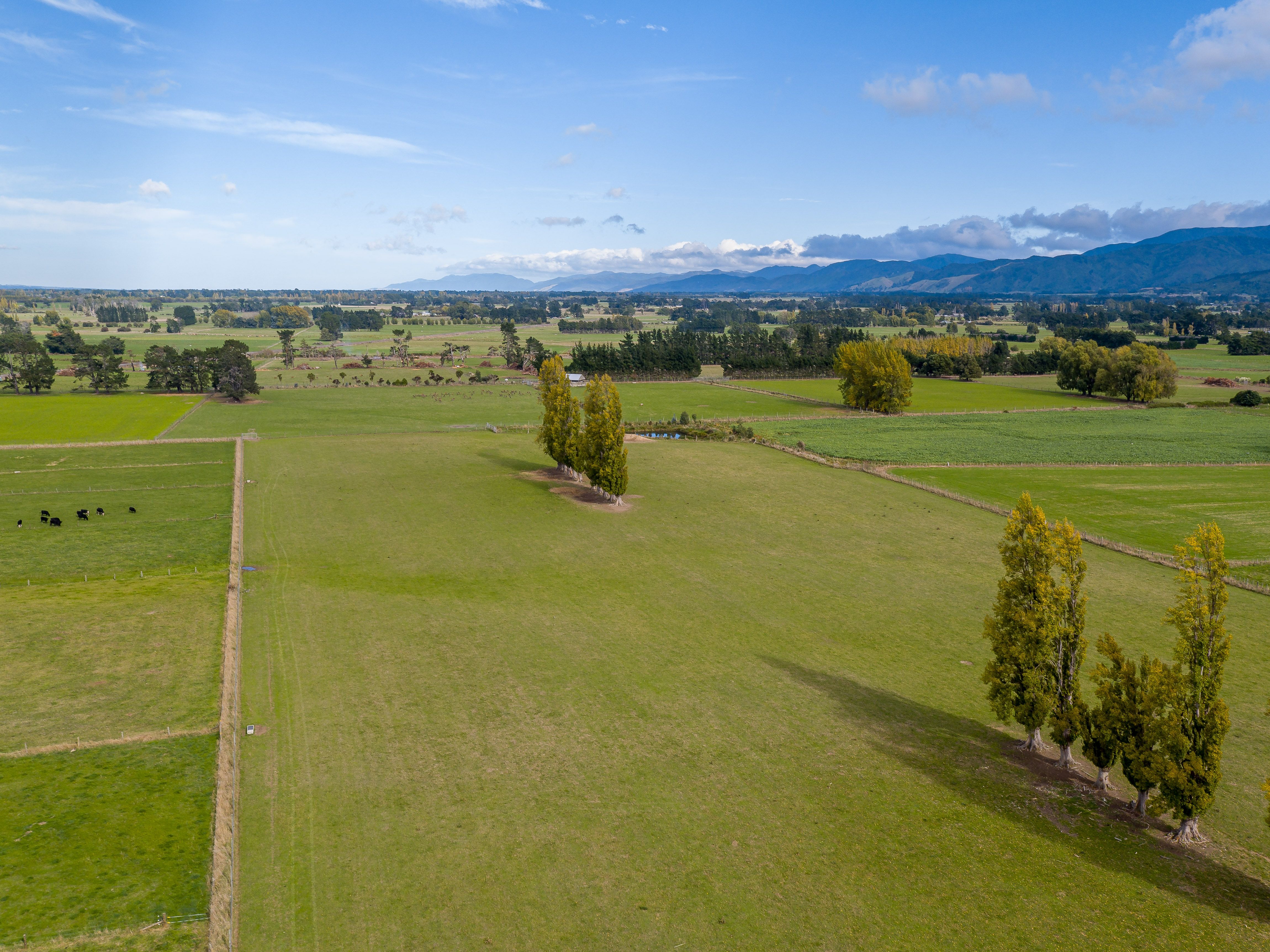 Lot 2 325 Dalefield Road, Carterton, Carterton District
