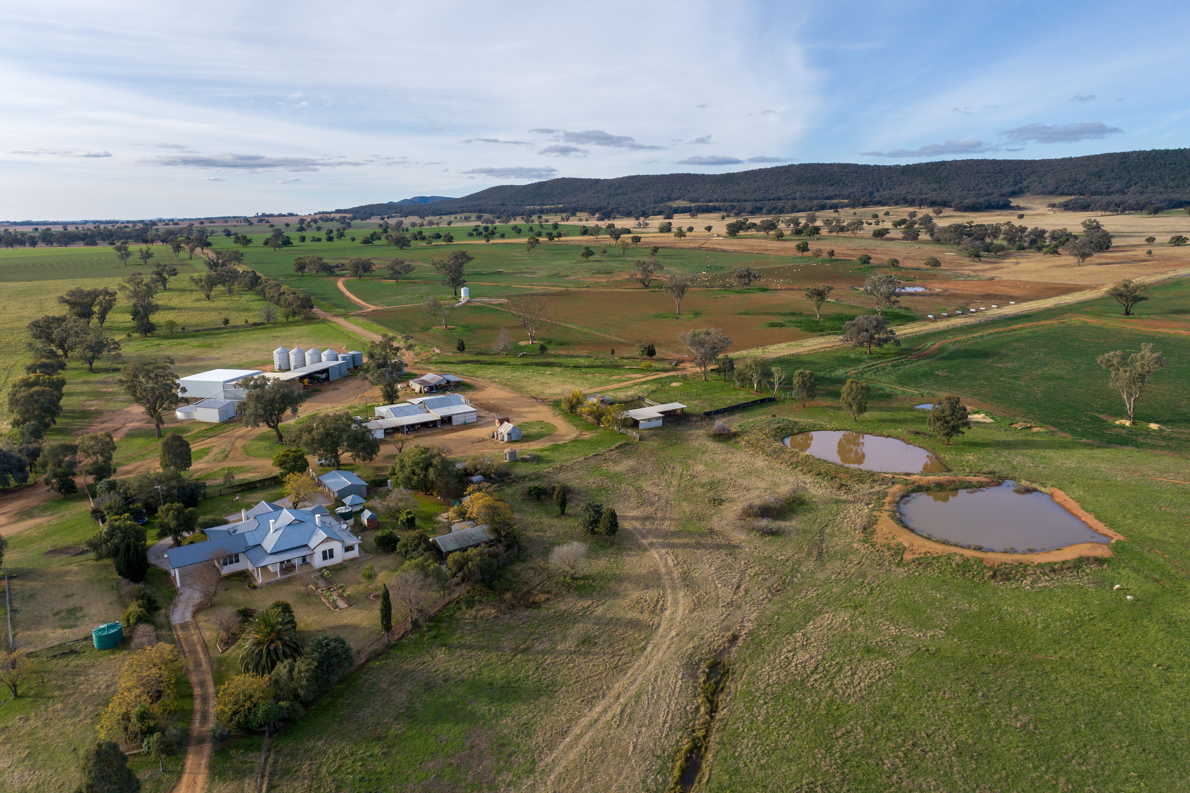 401 Catombal Road, Cumnock NSW 2867