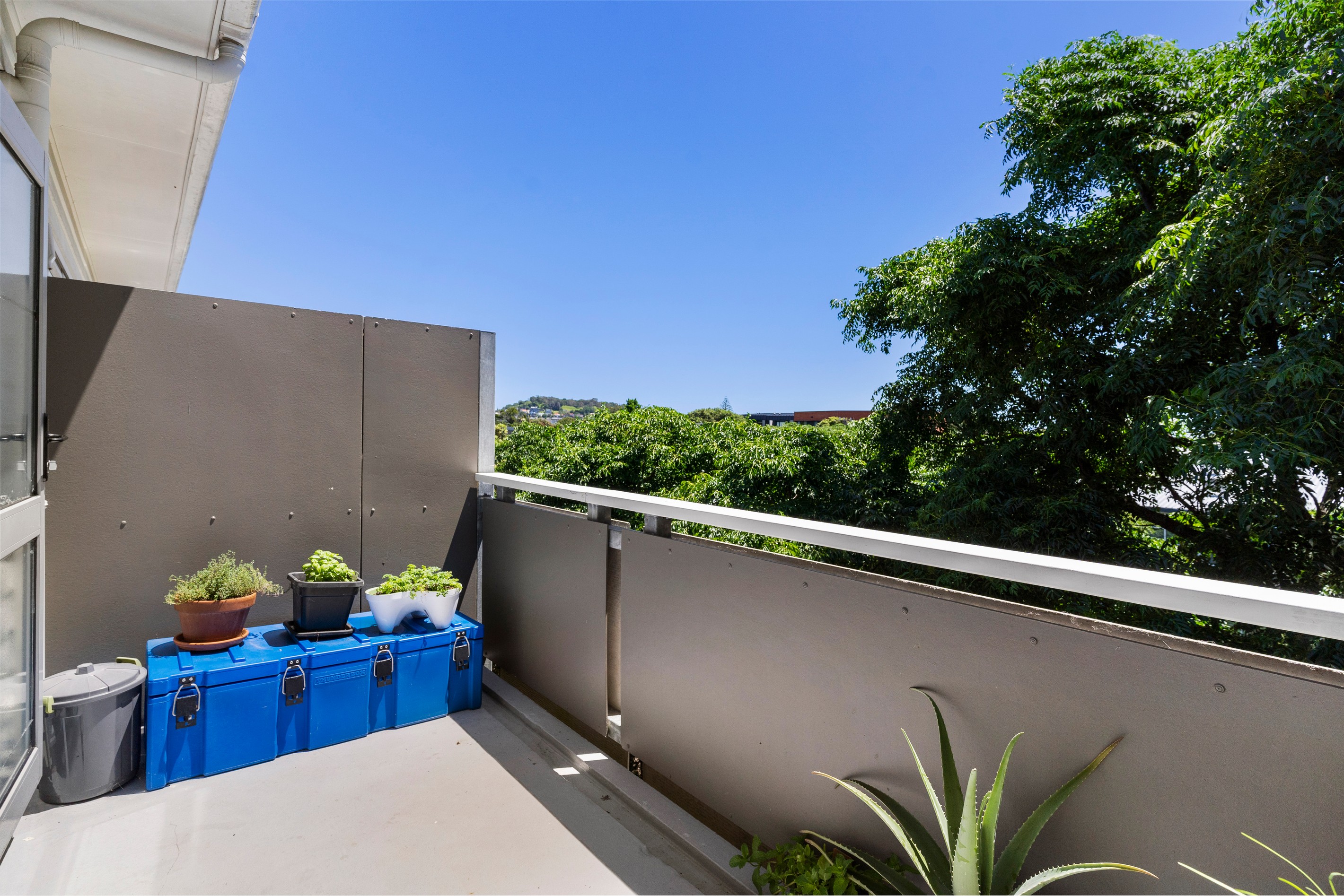 314/26 Morningside Drive, Morningside, Auckland City
