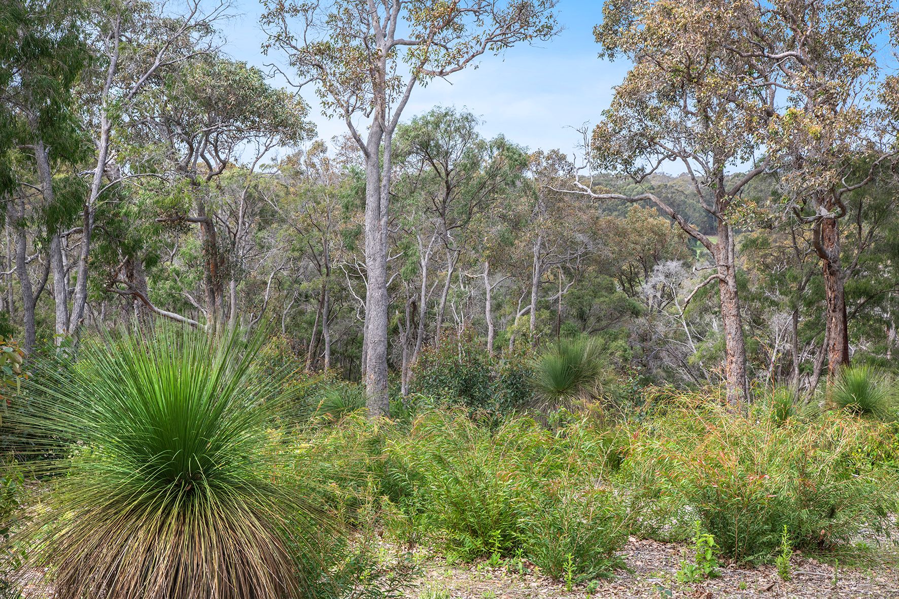 3/4072 Caves Road — photo 10 of 12