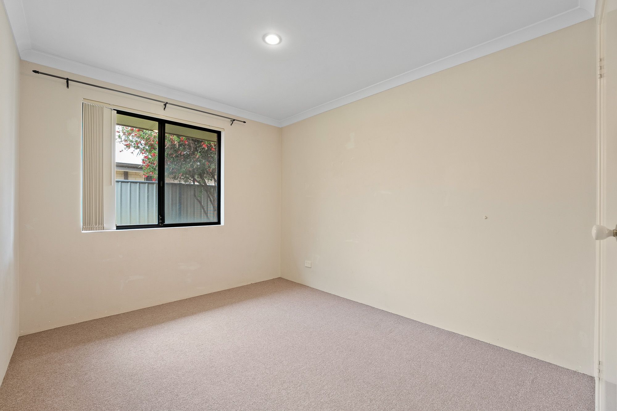 49 Tamworth Boulevard — photo 21 of 28
