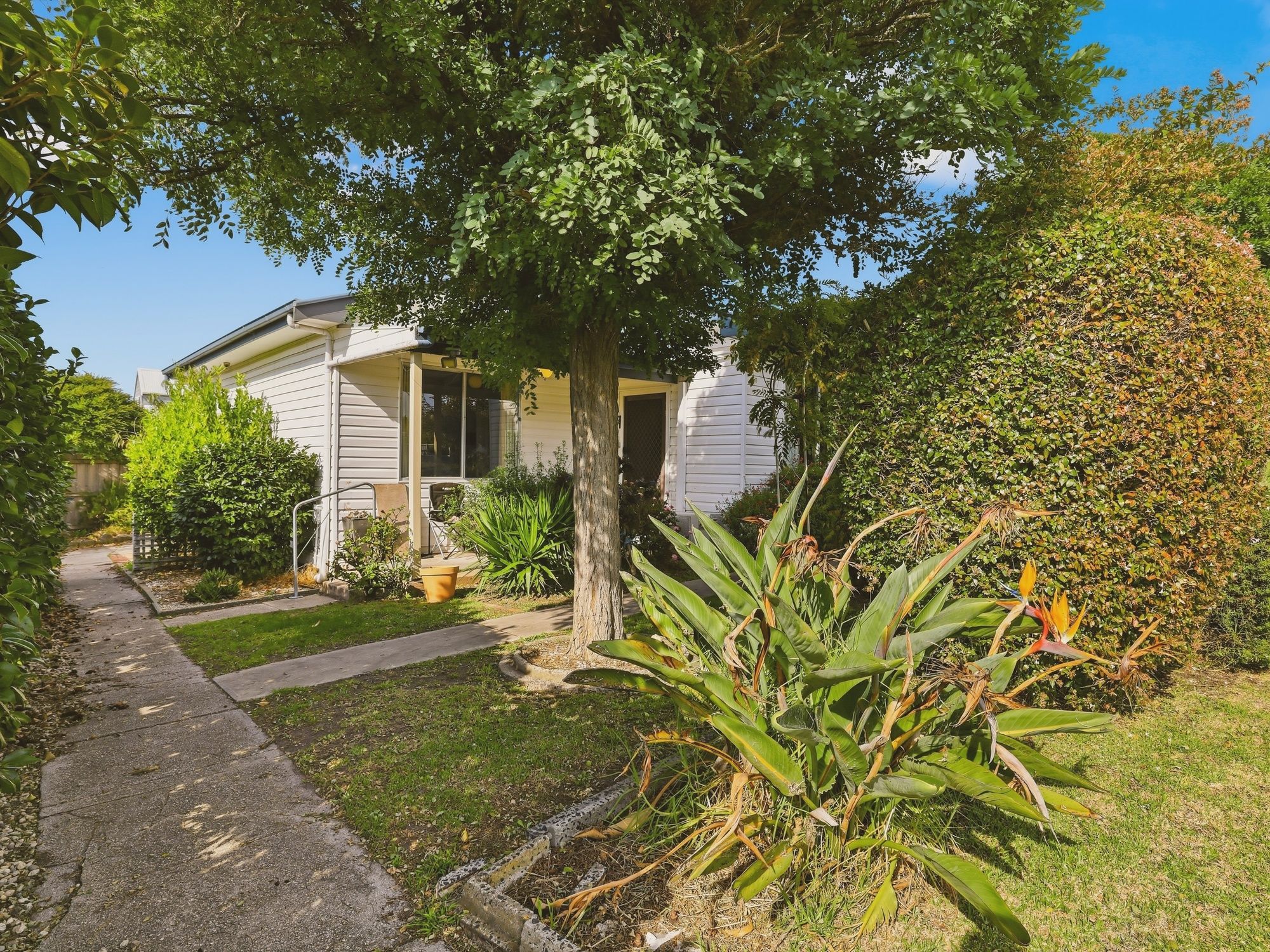 53 Reed Crescent — photo 11 of 14