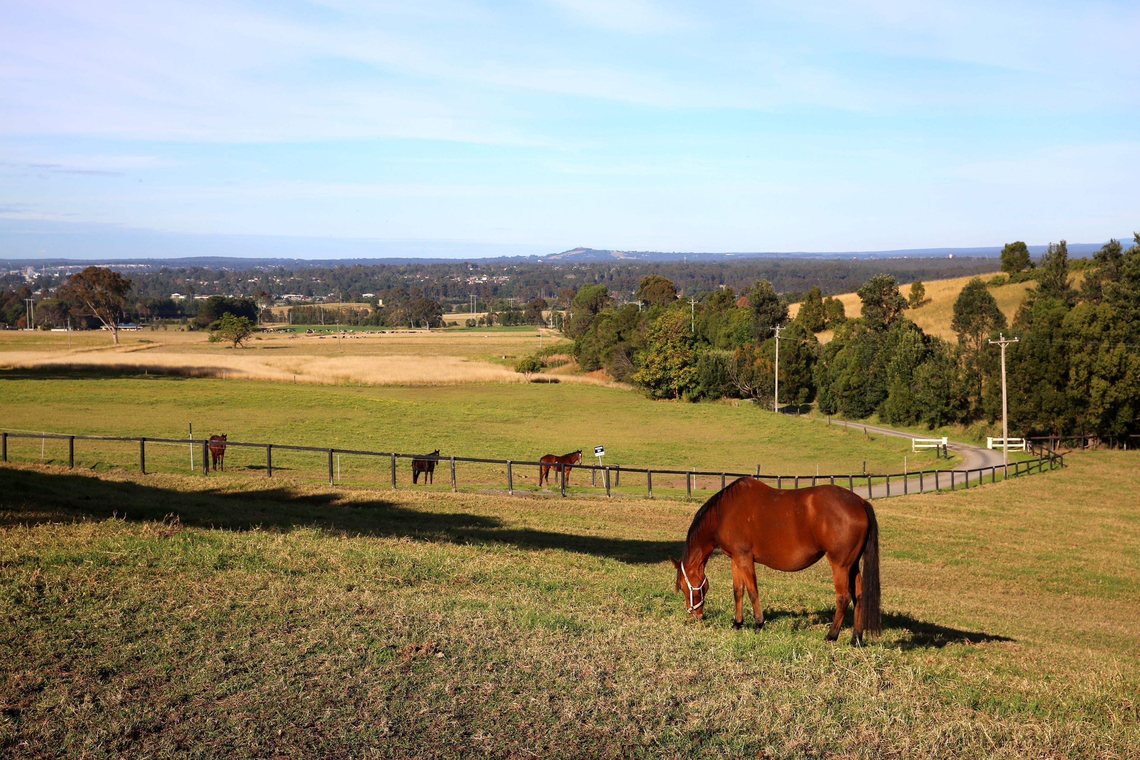 110B Elliott Lane, Meroo Meadow, NSW 2540