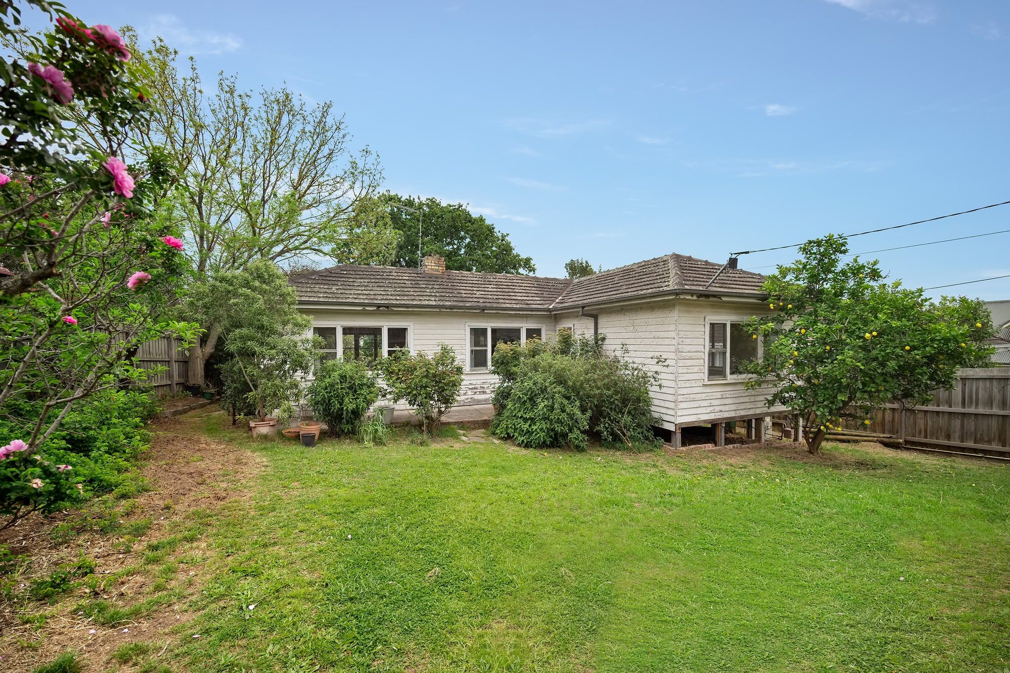 20 Starling Street — photo from Ray White Eltham