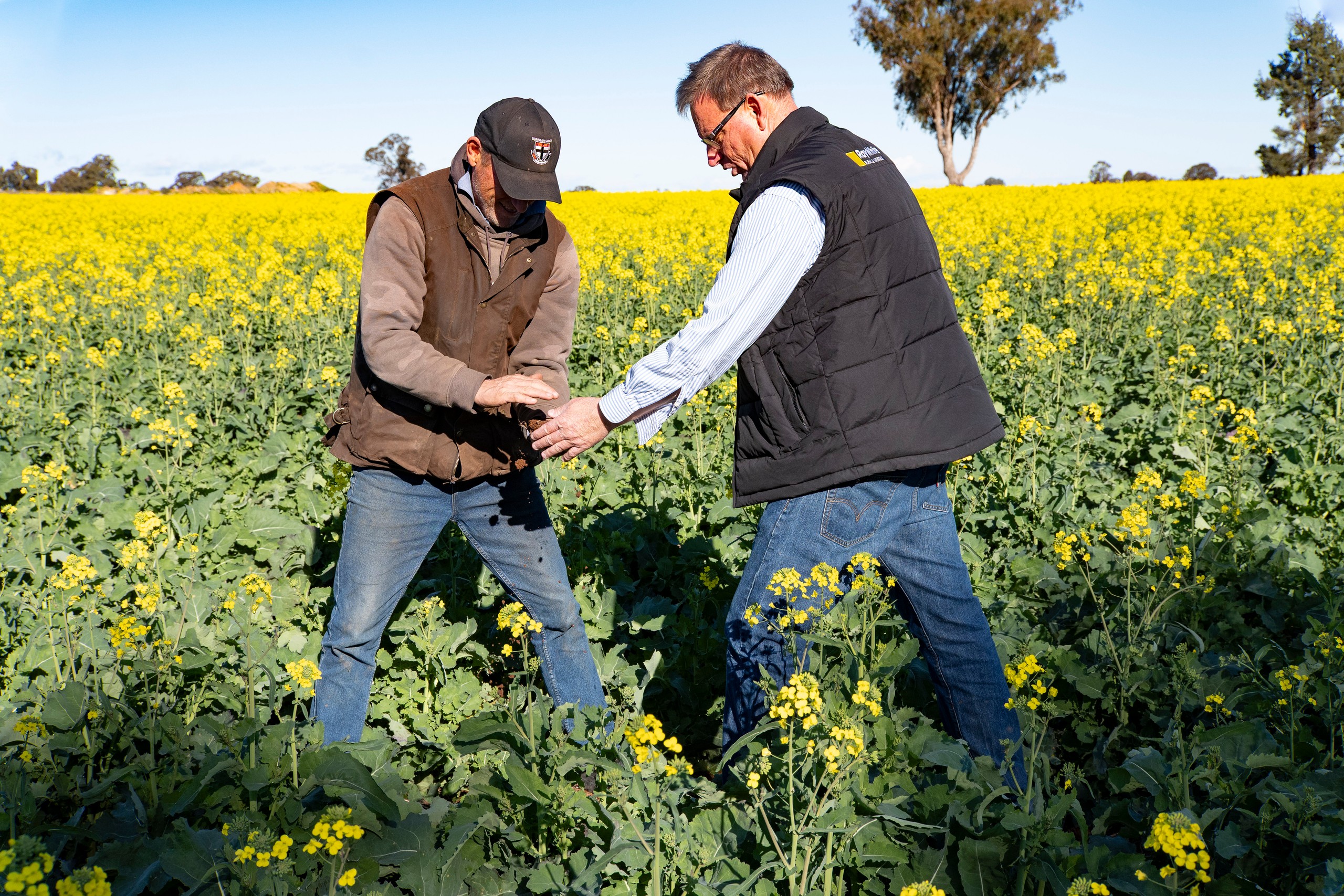 2244 Berrigan Road, Berrigan, NSW 2712