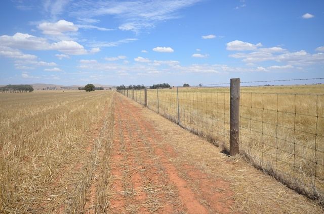 "Bills" Farrell Flat Road, Farrell Flat SA 5416