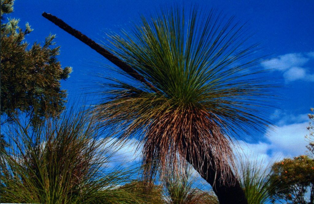 Lot 105 Jurien Bay Vista, Jurien Bay, WA 6516