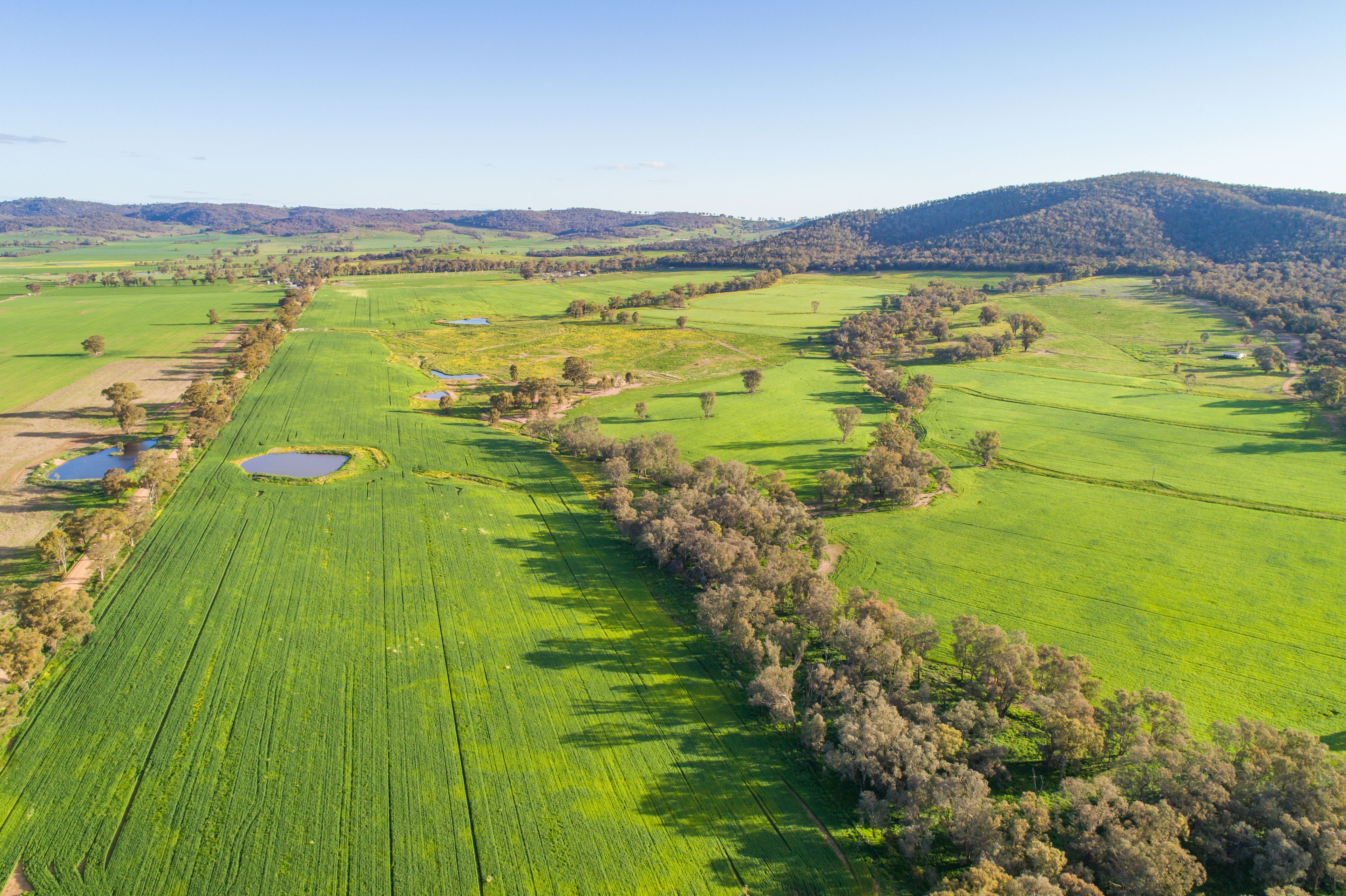 'Valley of Springs South' Tallarook Road, Cowra, NSW 2794 Sold Rural Cropping Property Ray