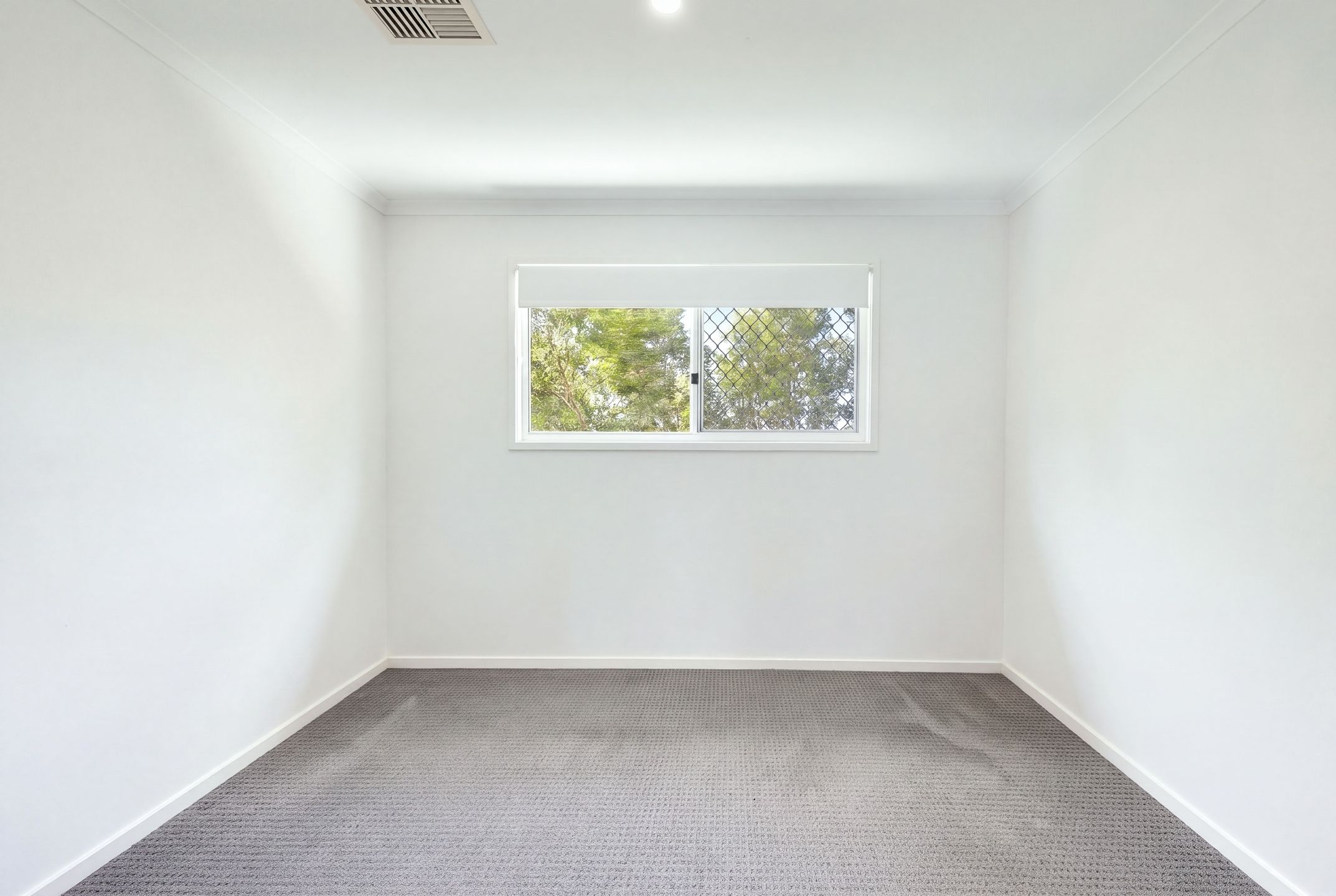 24 Prime Parade — photo 15 of 22