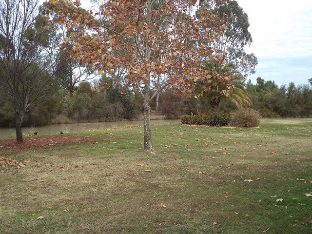 Unit 1/121 Twenty Four Lane "Menarock Waters" — photo 9 of 9
