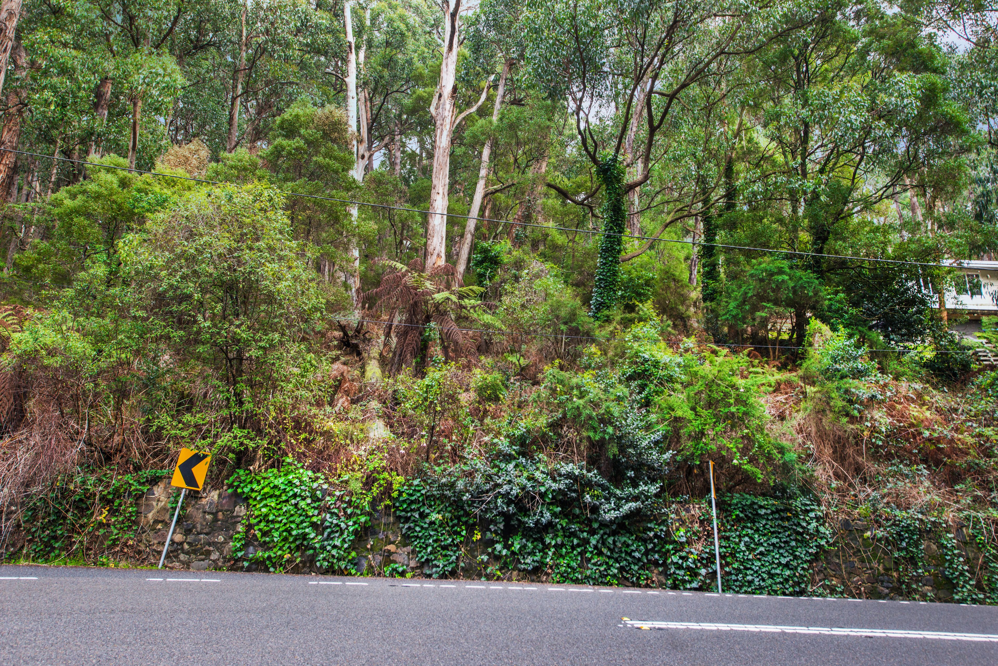 1458 Mountain Highway, The Basin, VIC 3154