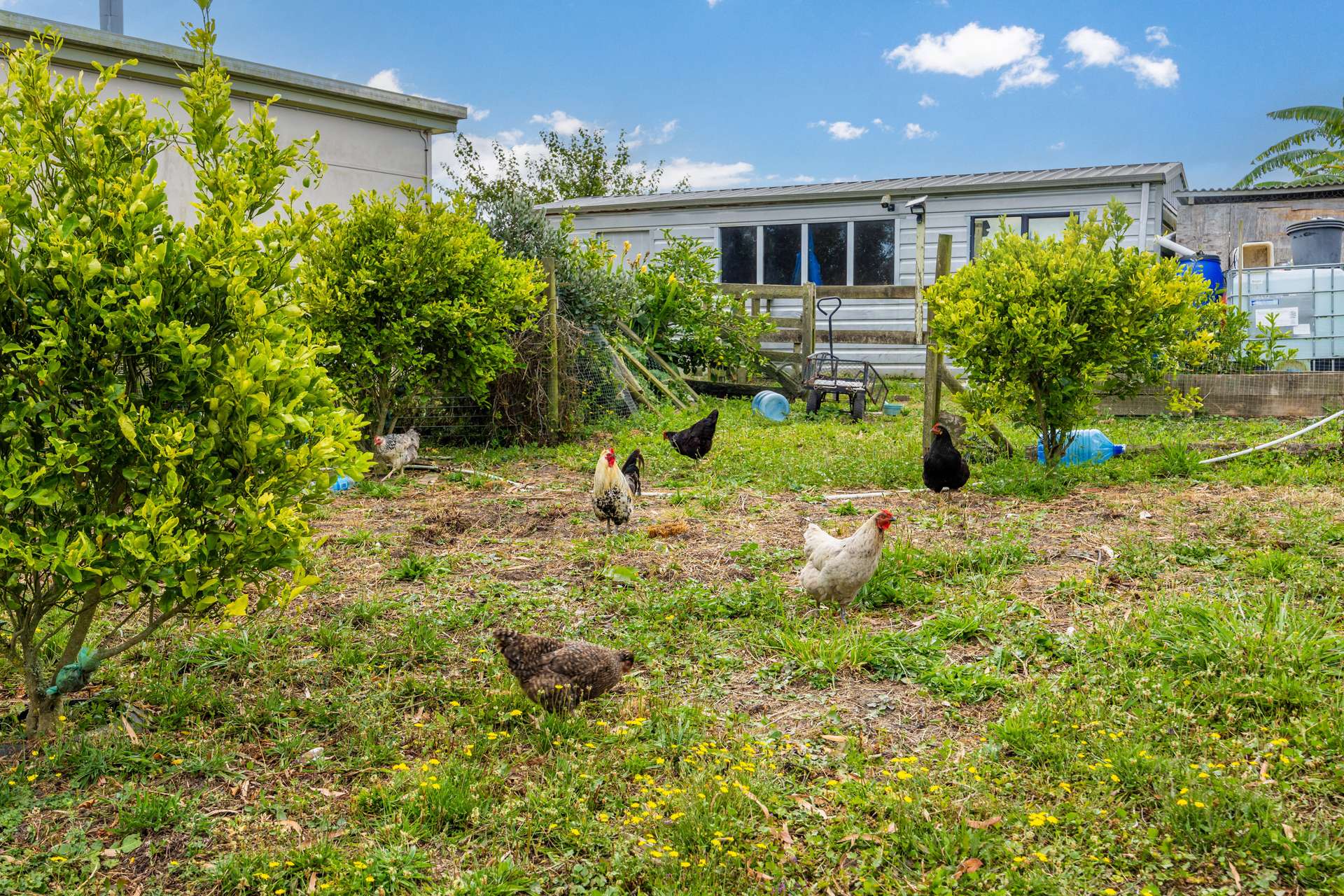 648 West Coast Road photo 19