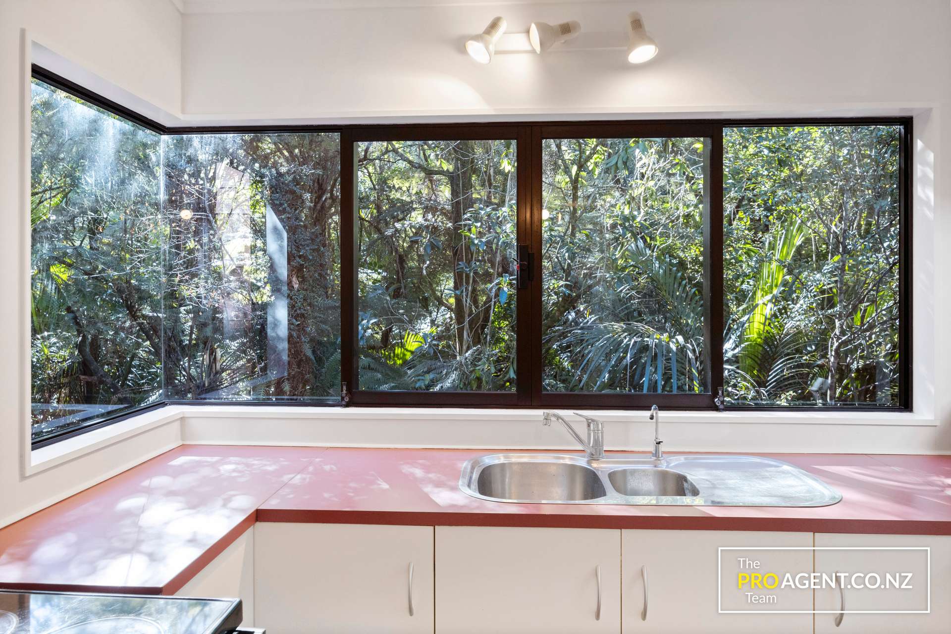 95 Laingholm Drive photo 9