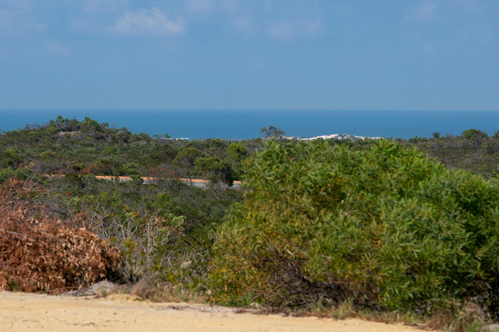 296 Pindari Place, Karakin, WA 6044 Acreage/SemiRural for Sale Ray