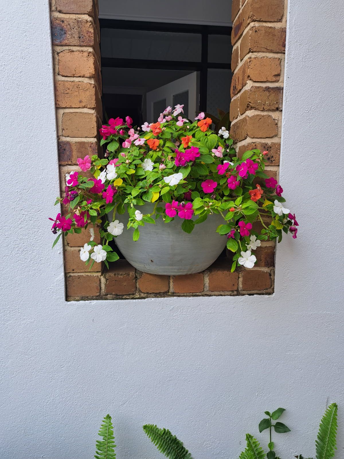 17/2-6 Margaret Street — photo 18 of 18
