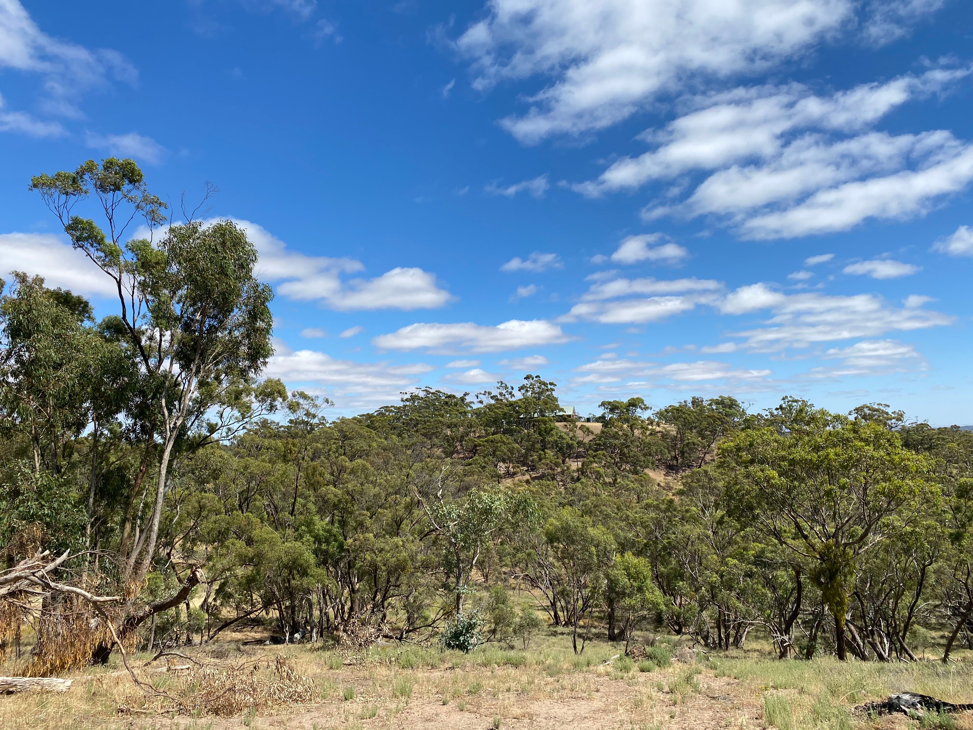 Lot 3 Possingham Pit Road, Gillentown, SA 5453