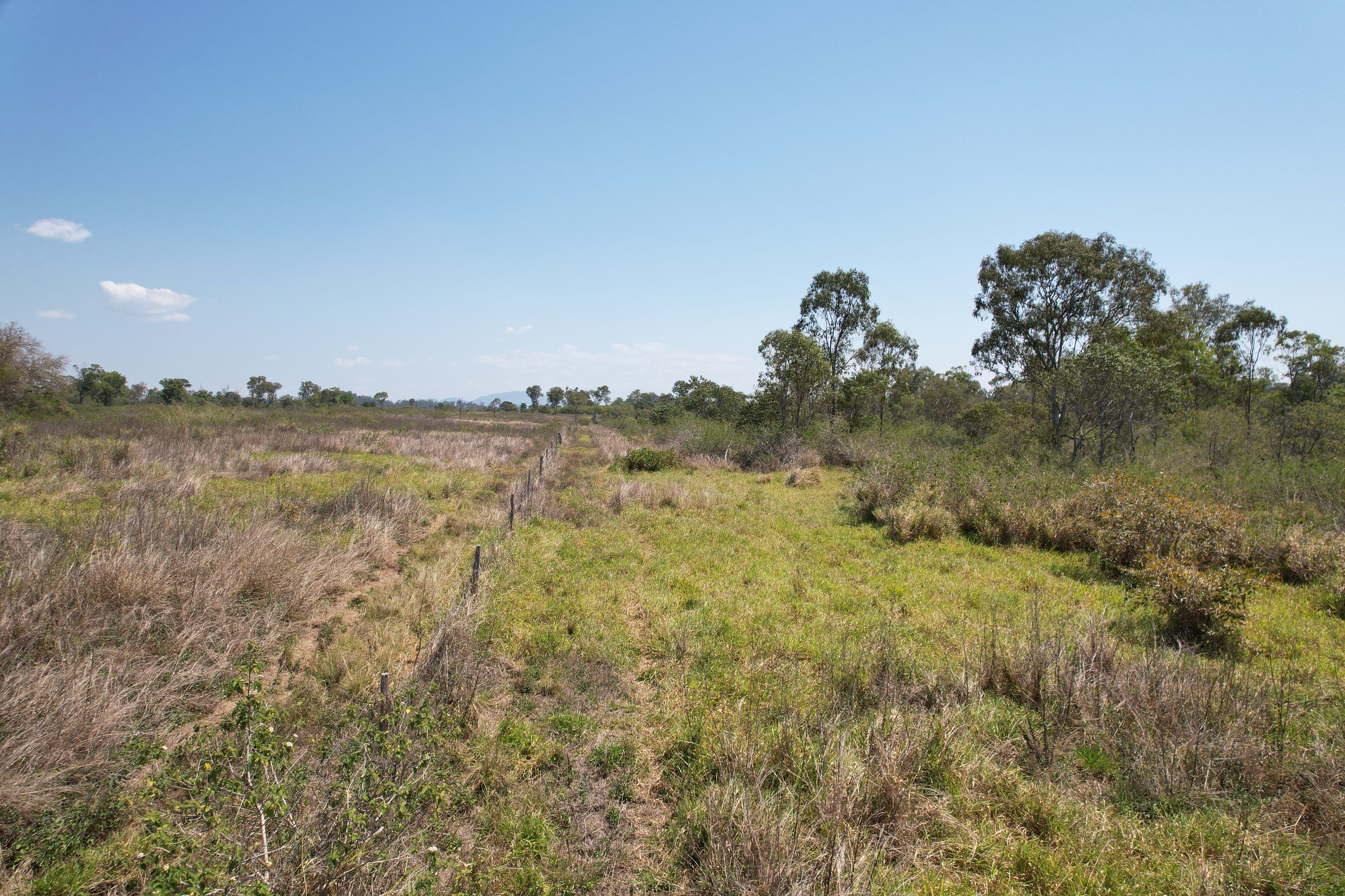 0 Bergmans Road, Palmyra, QLD 4751 Sold Rural Property Ray White