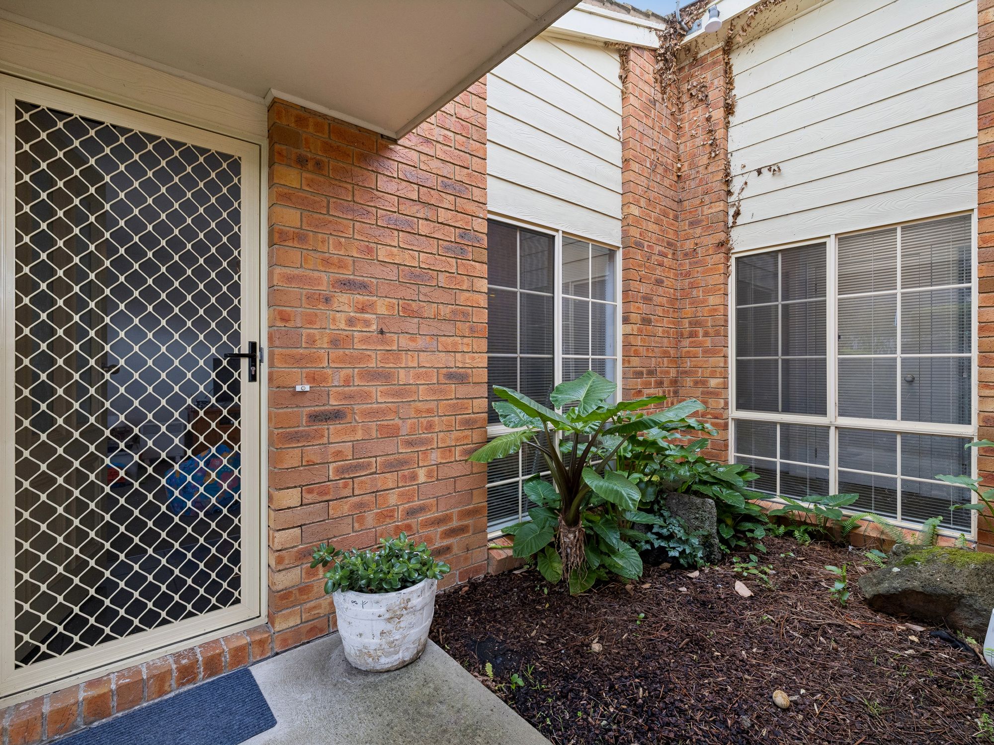 2/221 Graham Street — photo 3 of 14