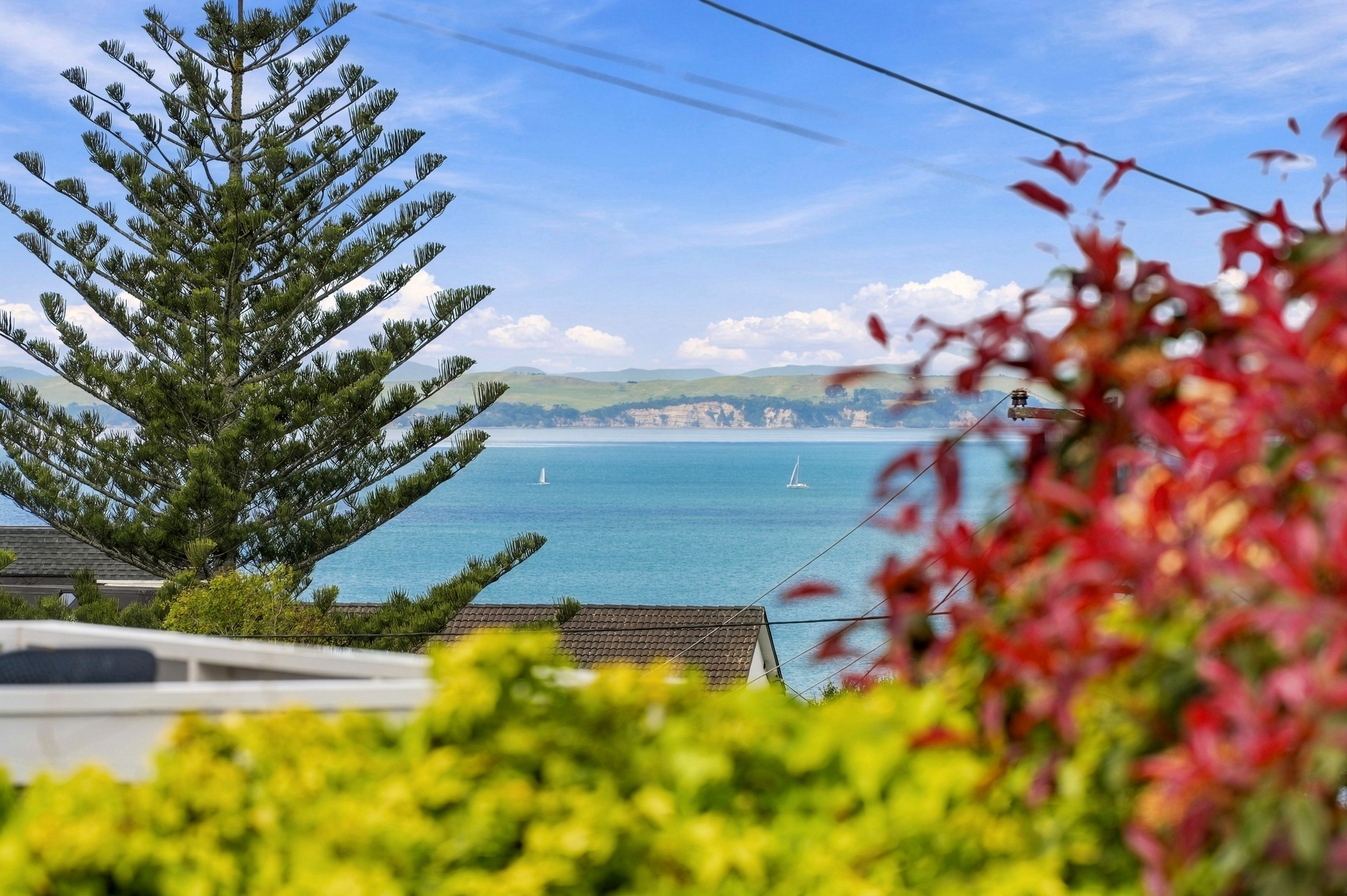 15 Carlisle Road, Torbay, North Shore City