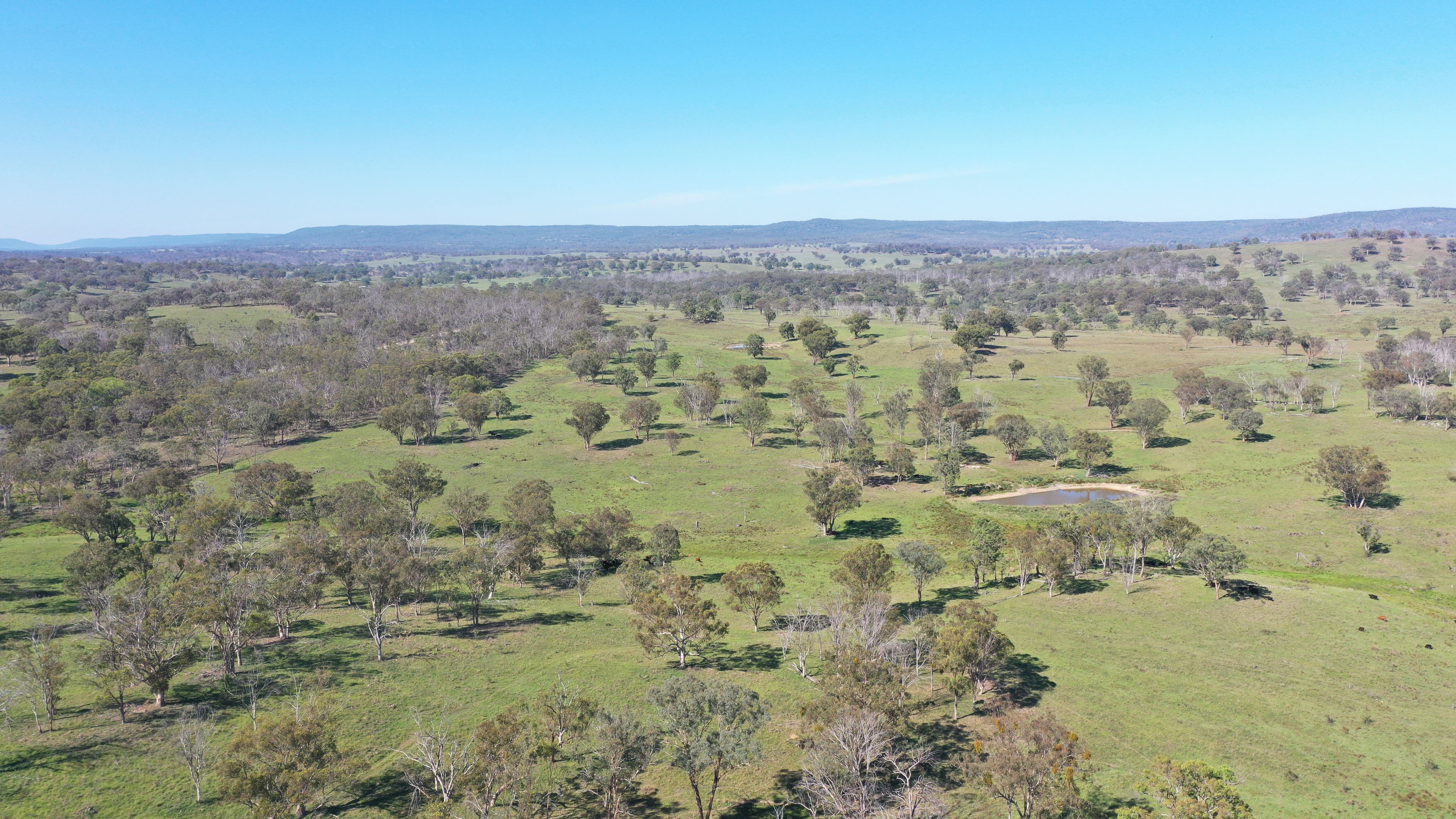 216 Mt Drummond Road, Bundarra, NSW 2359 Sold Rural Property Ray