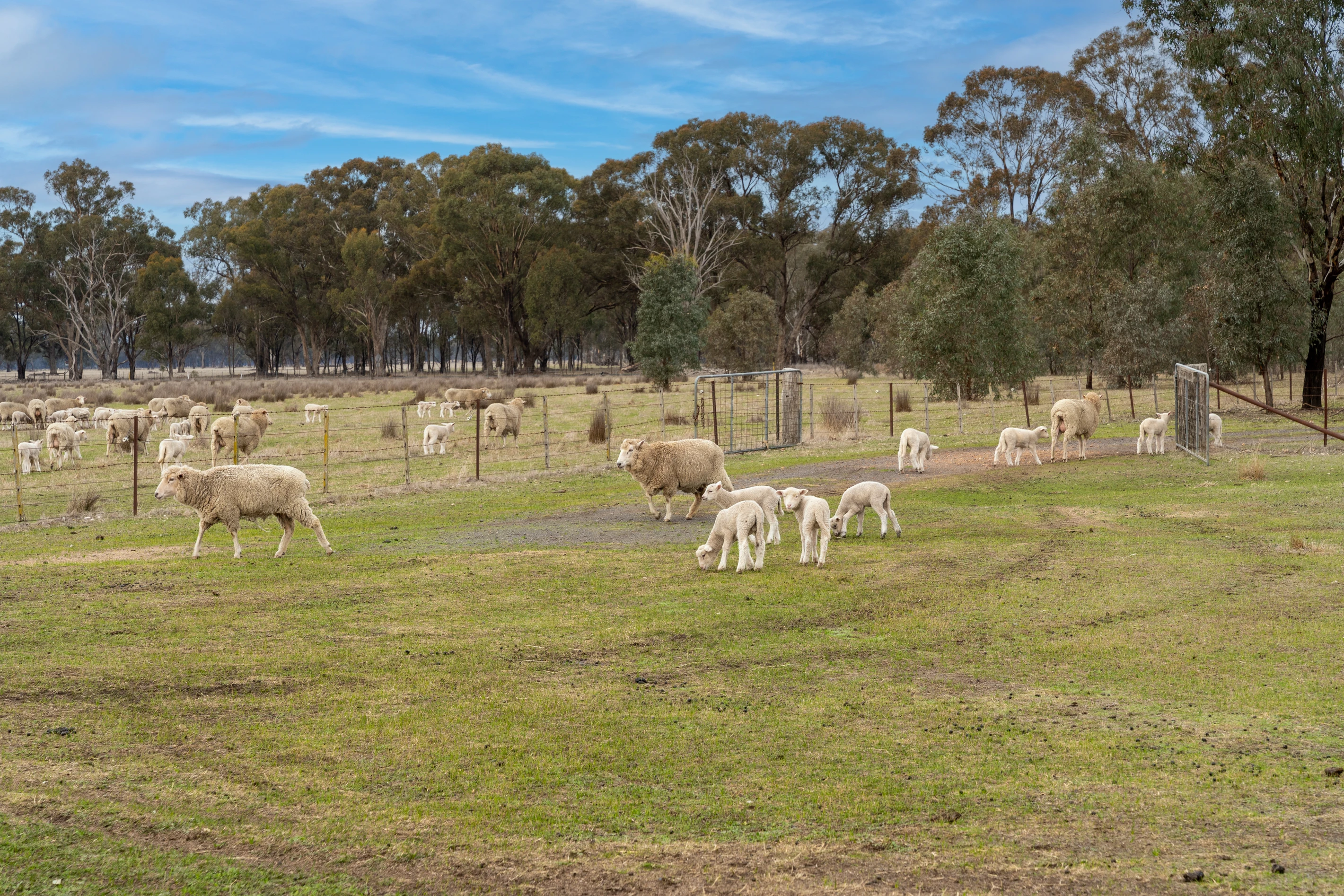 Lot 38 Pranjip Road, Pranjip, VIC 3666