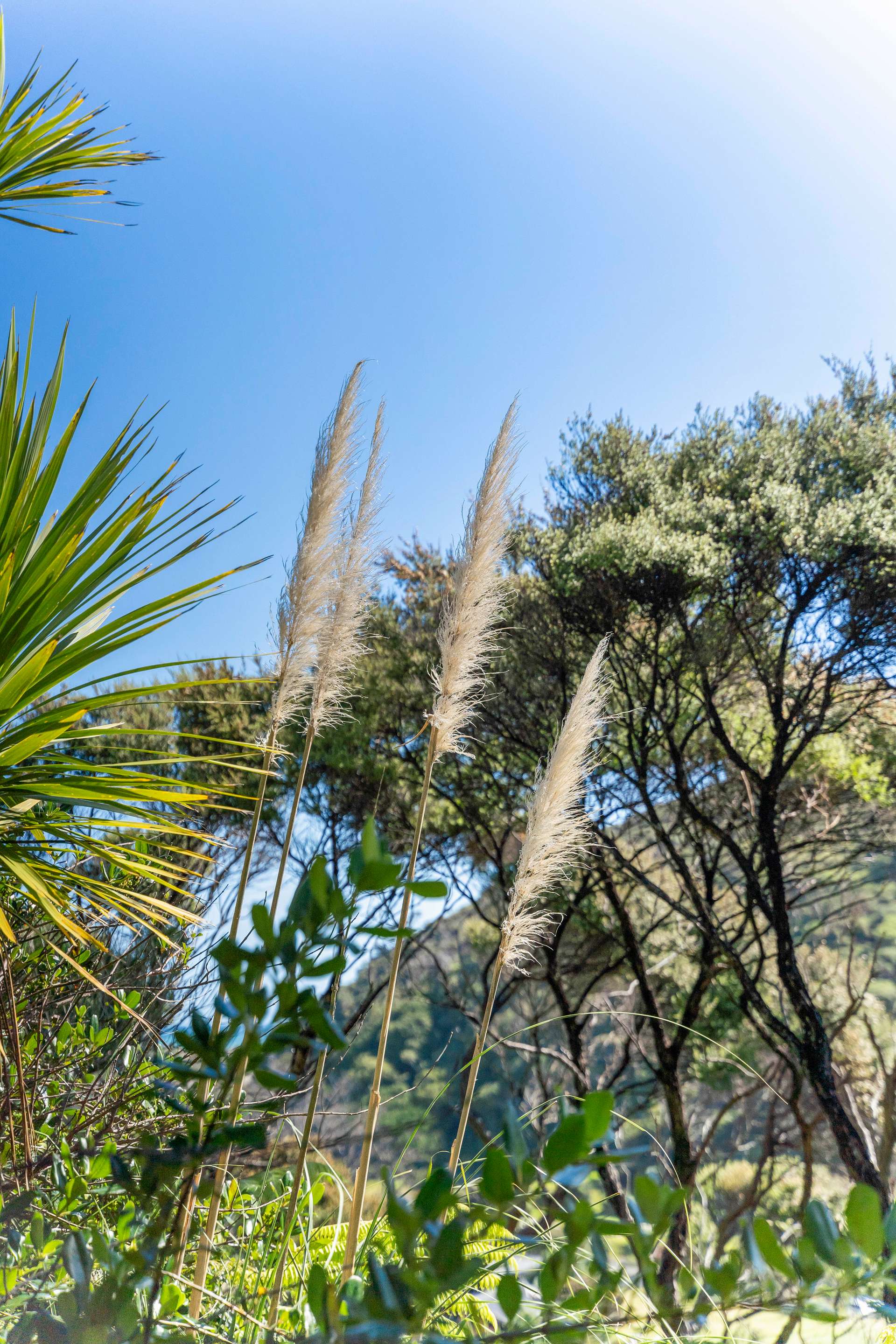 216 Bethells Road photo 8