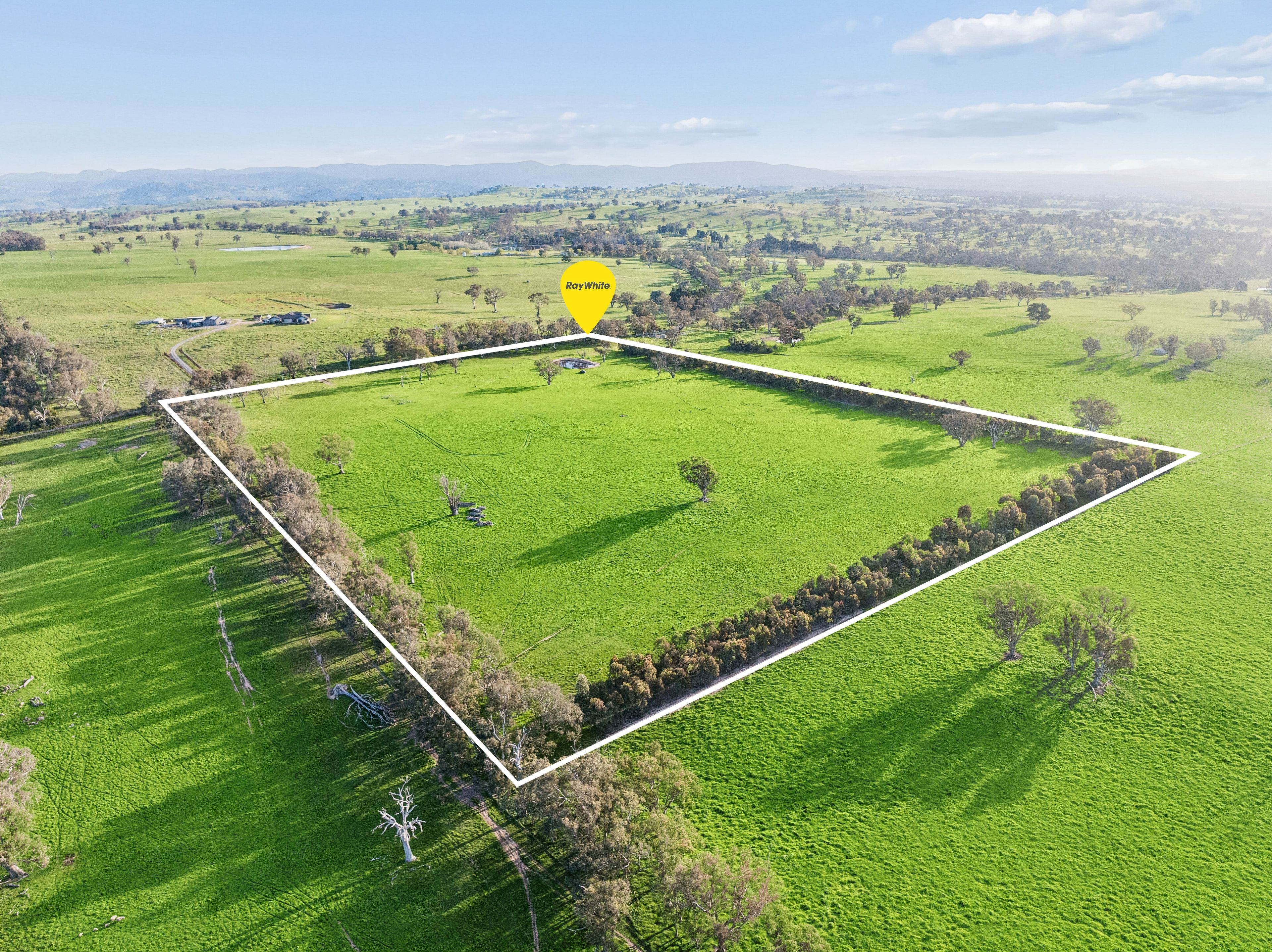 "Yellowbox", 606 Longrail Gully Road — photo from Ray White Rural Yass