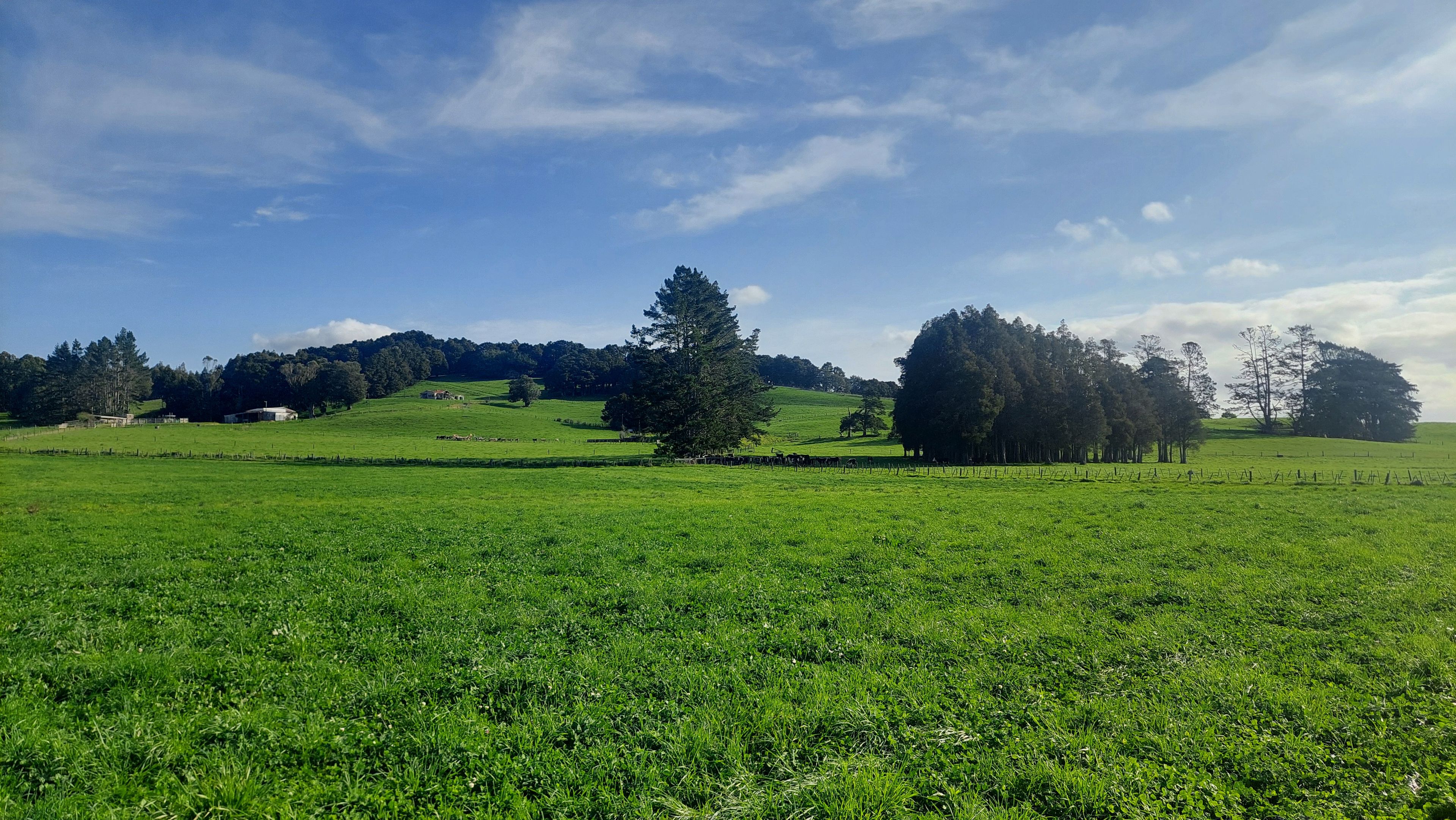 1323 SH One - Lot 1, Hikurangi, Whangarei District