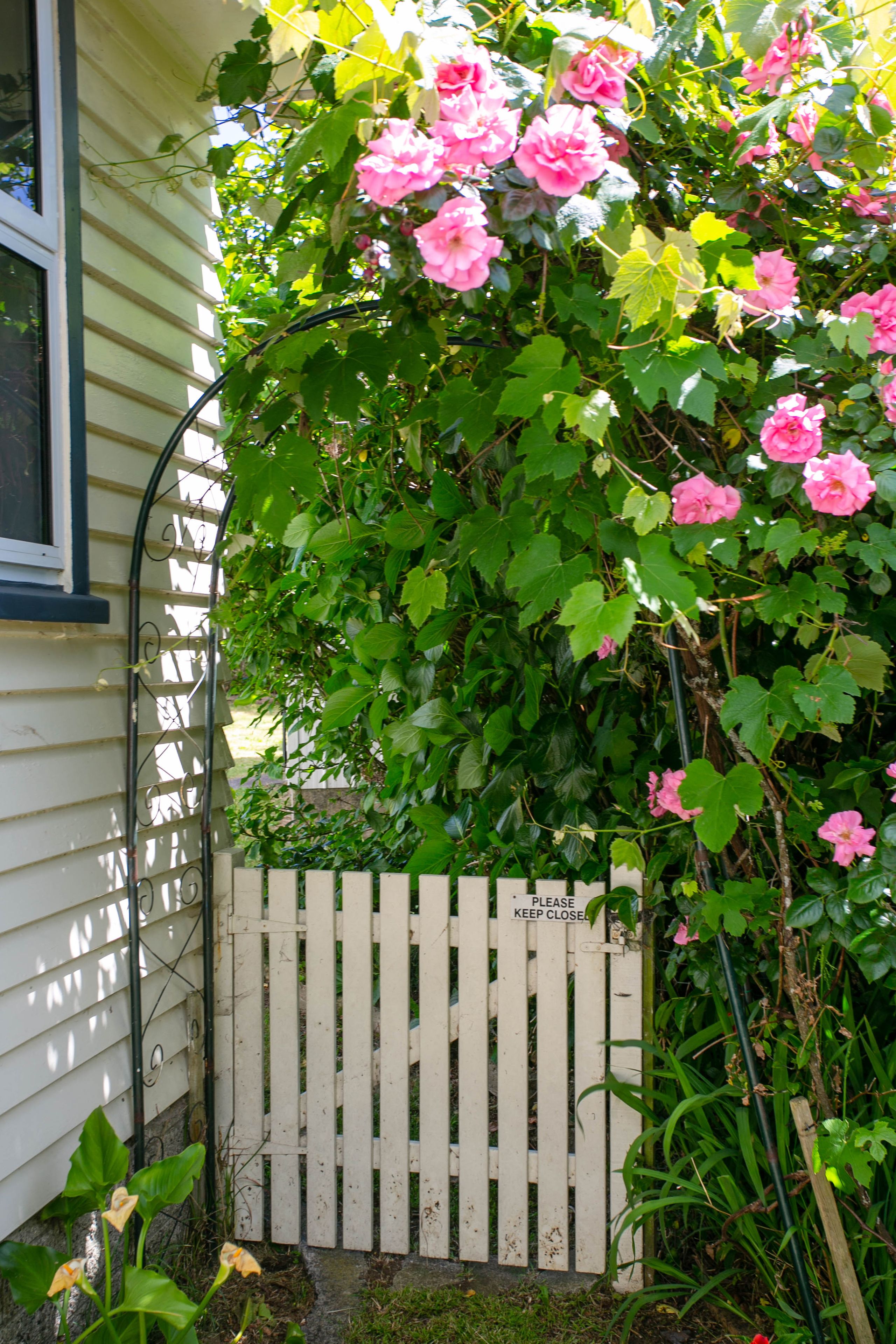 319 Rutherford Street, Te Awamutu, Waipa District