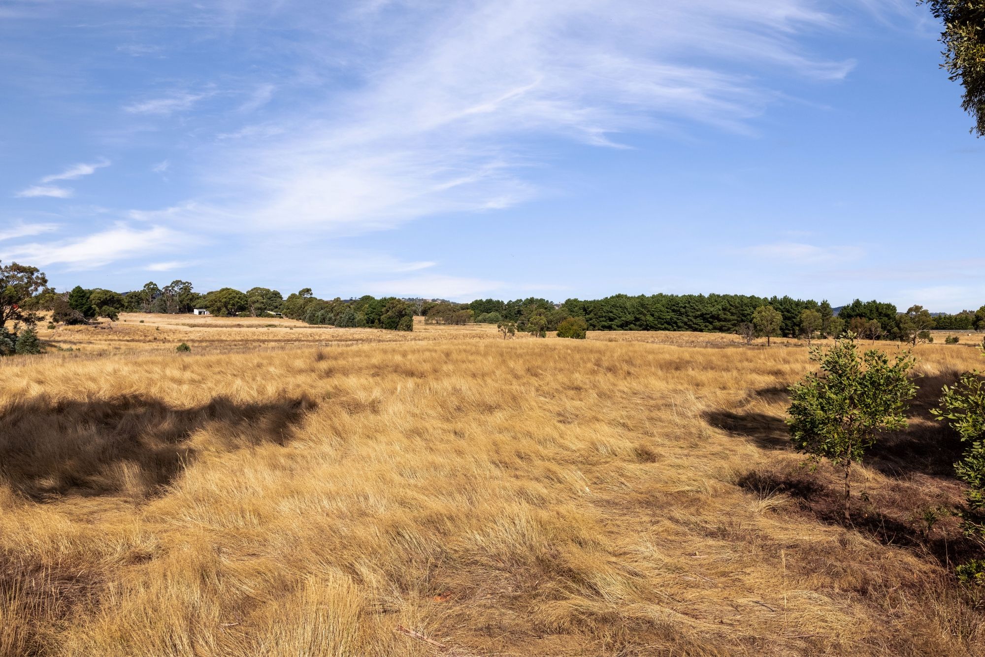 Lot 8 Lancefield Tooborac Road, Lancefield, VIC 3435 Land for Sale