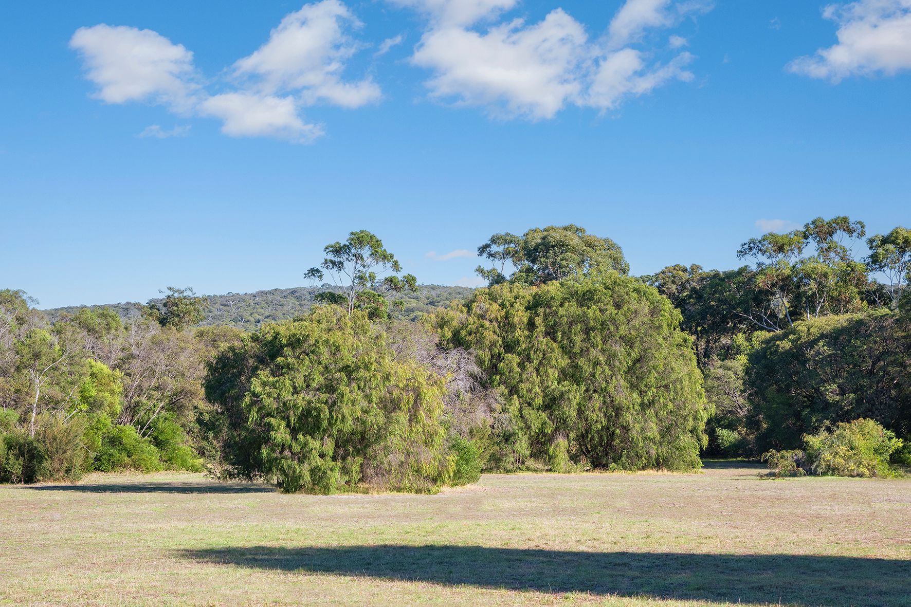 Lot PL1 93 Biddle Road, Quedjinup, WA 6281