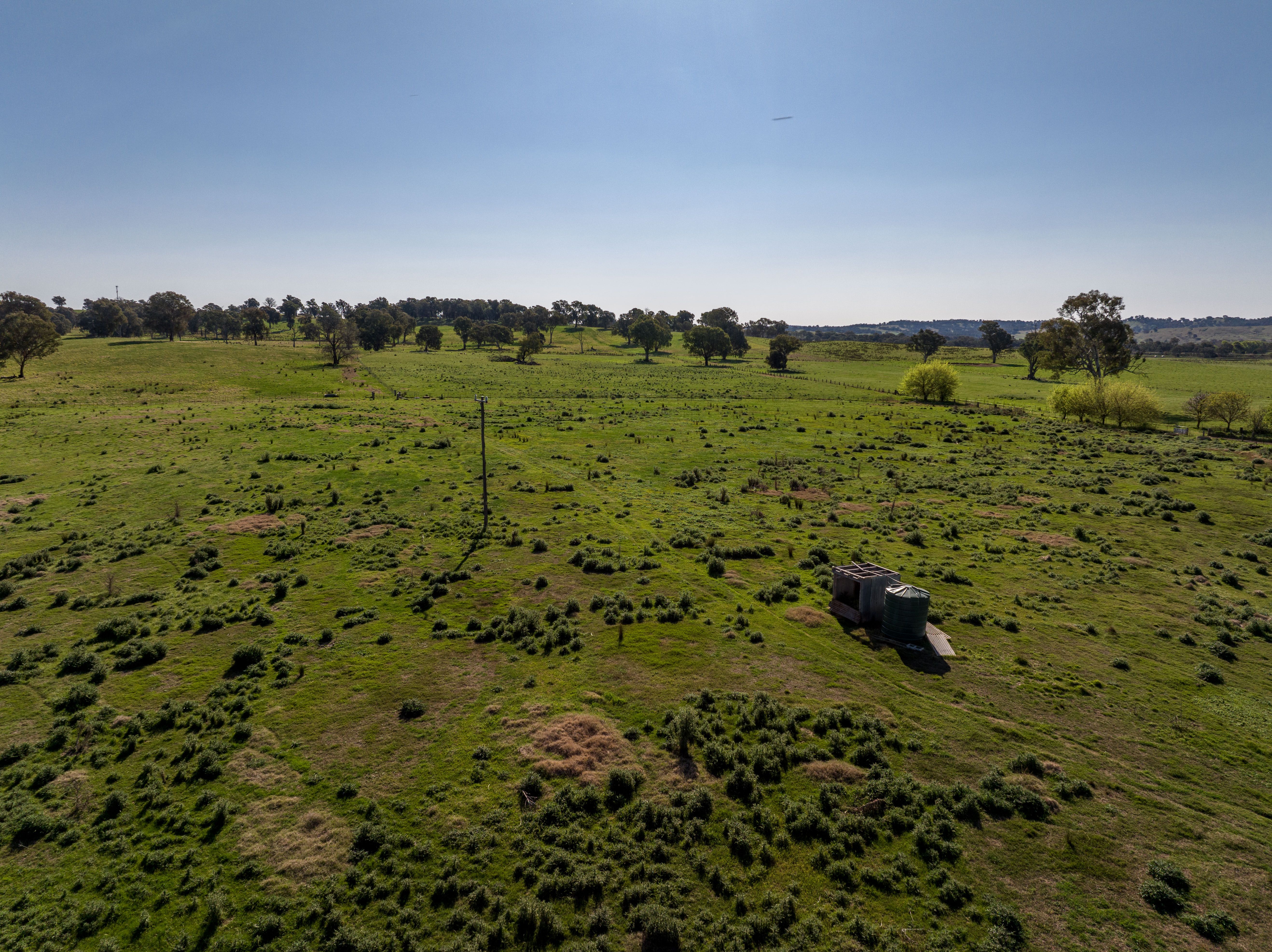 "Avonlea" 156 Comatawa Road, Tarcutta, NSW 2652 Sold Rural Mixed