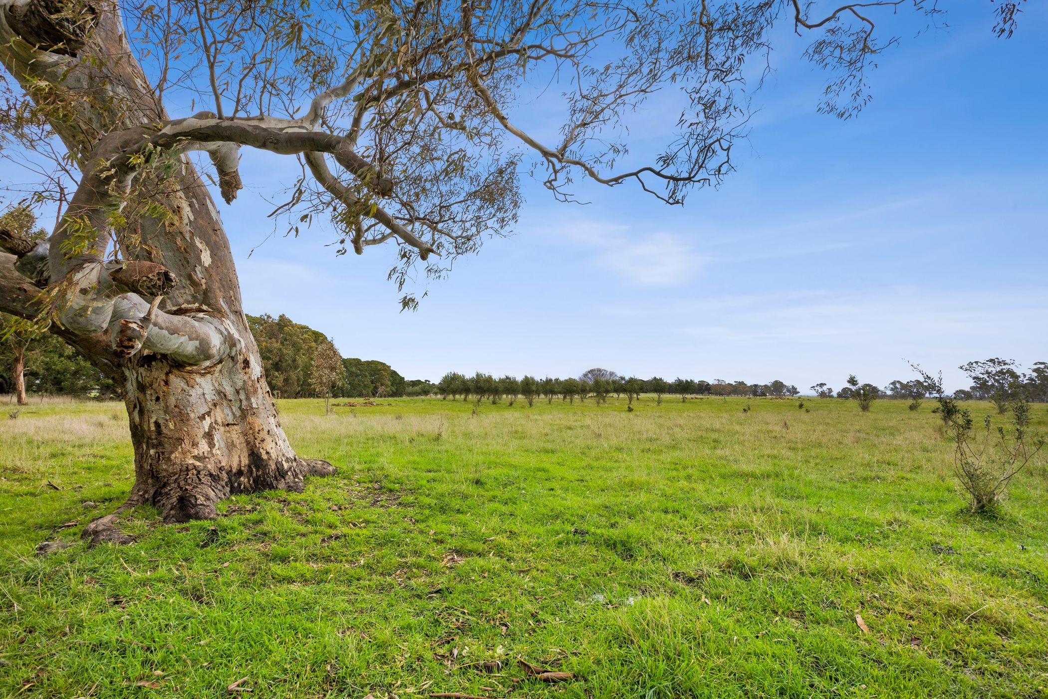 135 Andersons Lane, Glenhope, VIC 3444