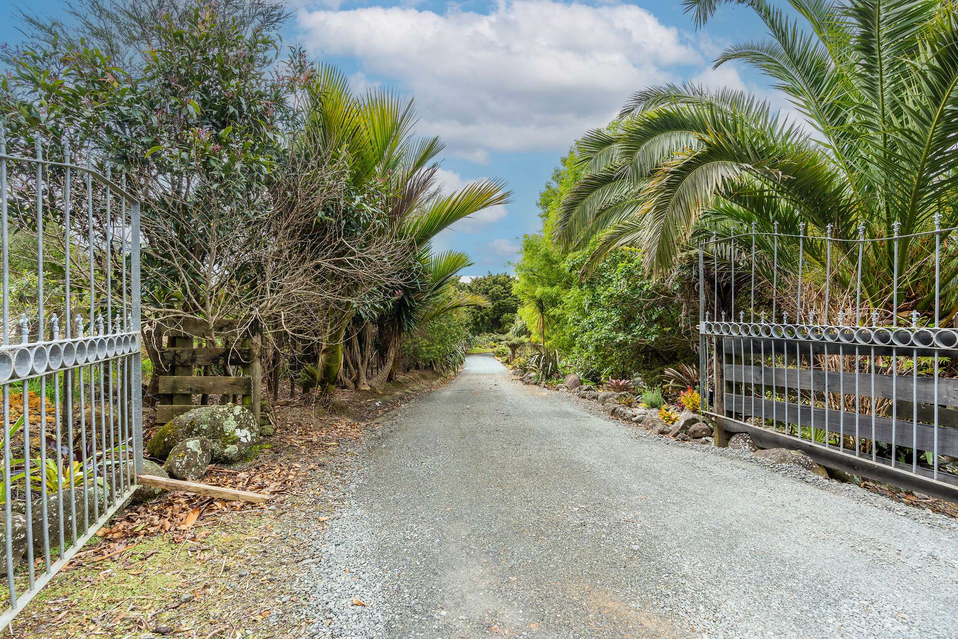 234C Te Rongo Road photo 2