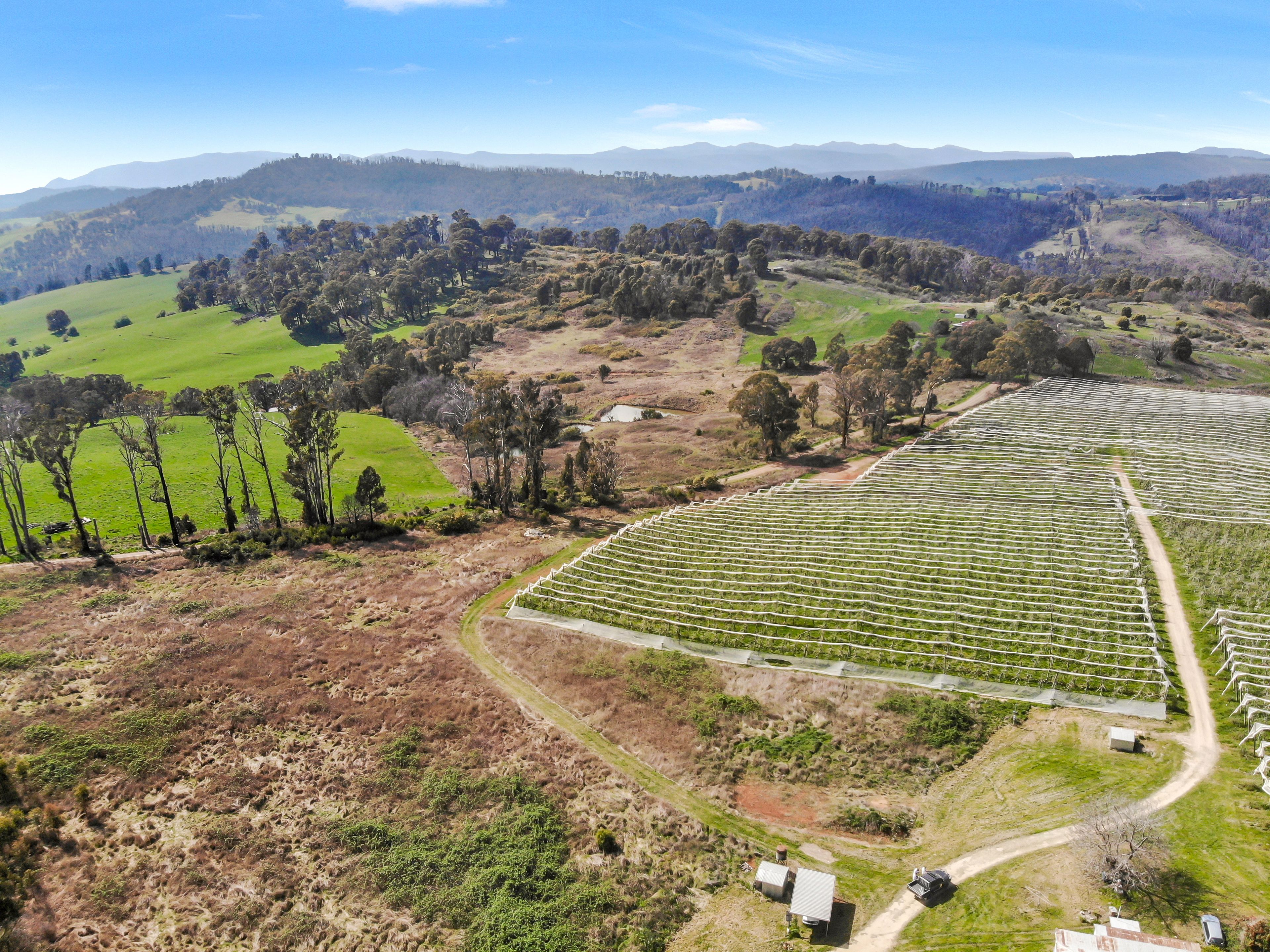 396 Old Tumbarumba Road, Batlow, NSW 2730 House for Sale Ray White