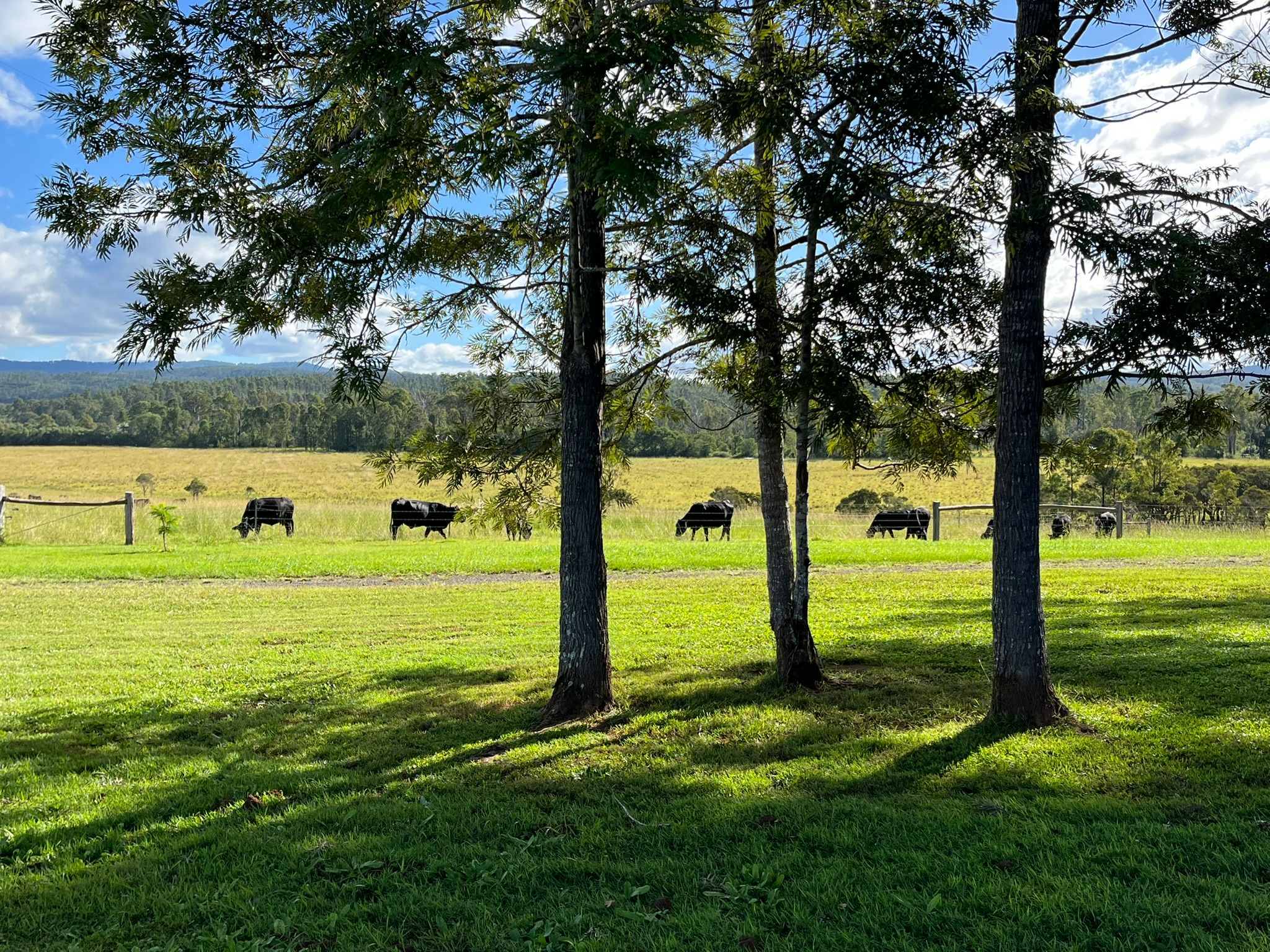 Casino, NSW 2470