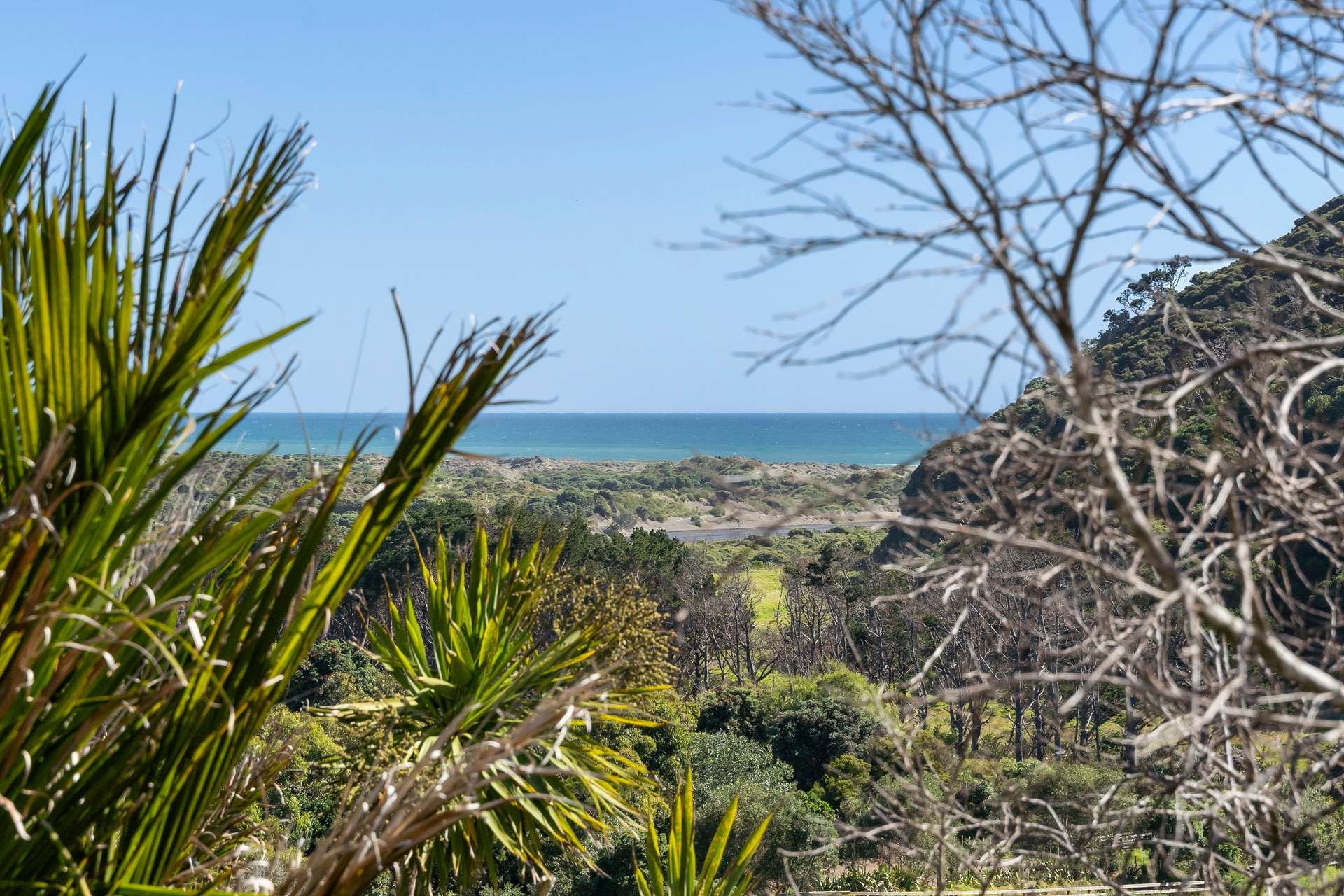 216 Bethells Road photo 6